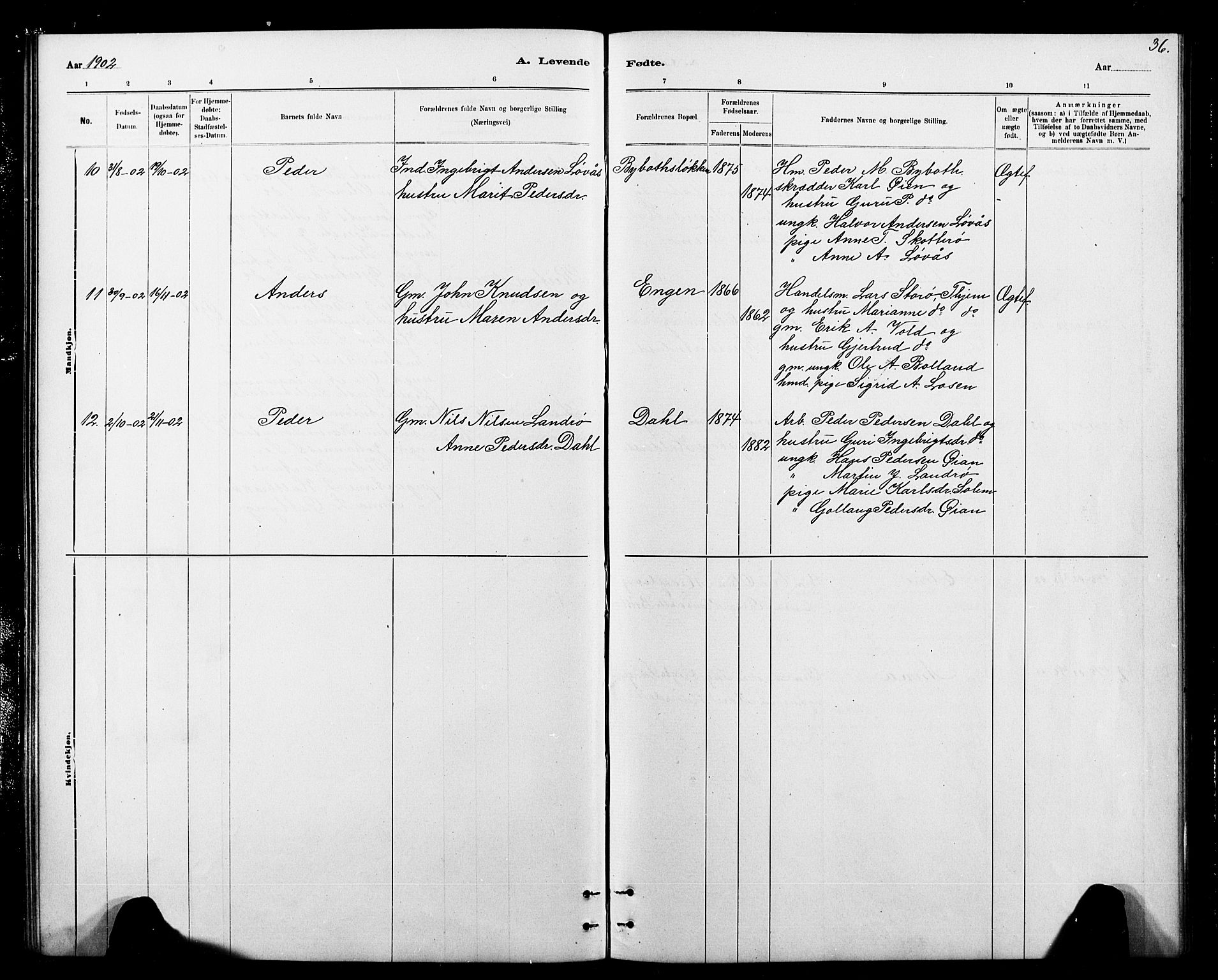 Ministerialprotokoller, klokkerbøker og fødselsregistre - Sør-Trøndelag, SAT/A-1456/693/L1123: Parish register (copy) no. 693C04, 1887-1910, p. 36