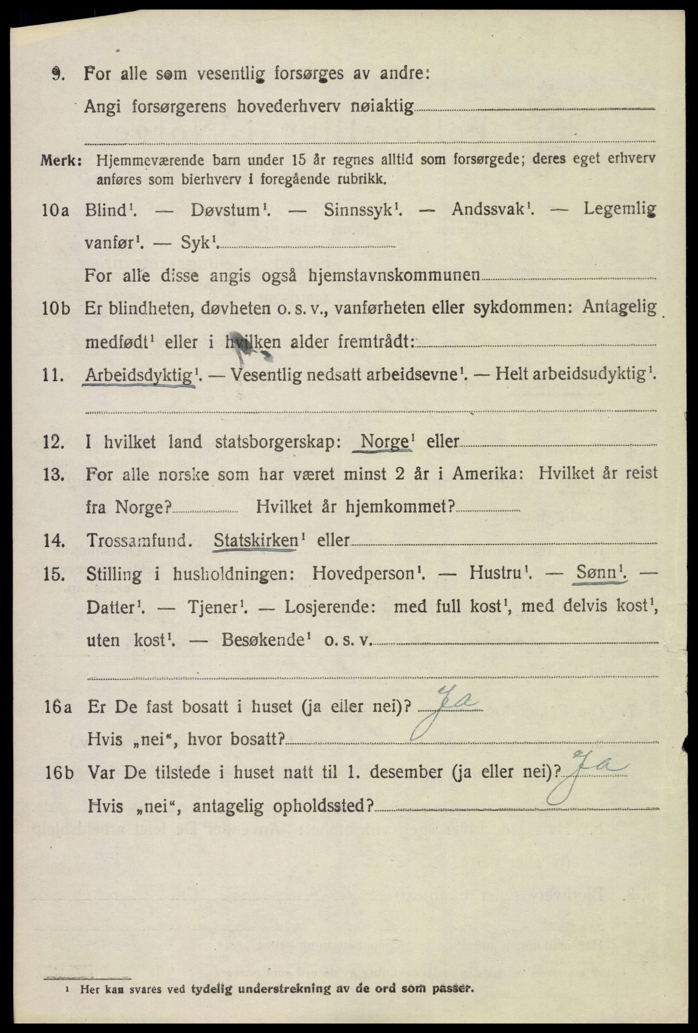 SAH, 1920 census for Vinger, 1920, p. 8513