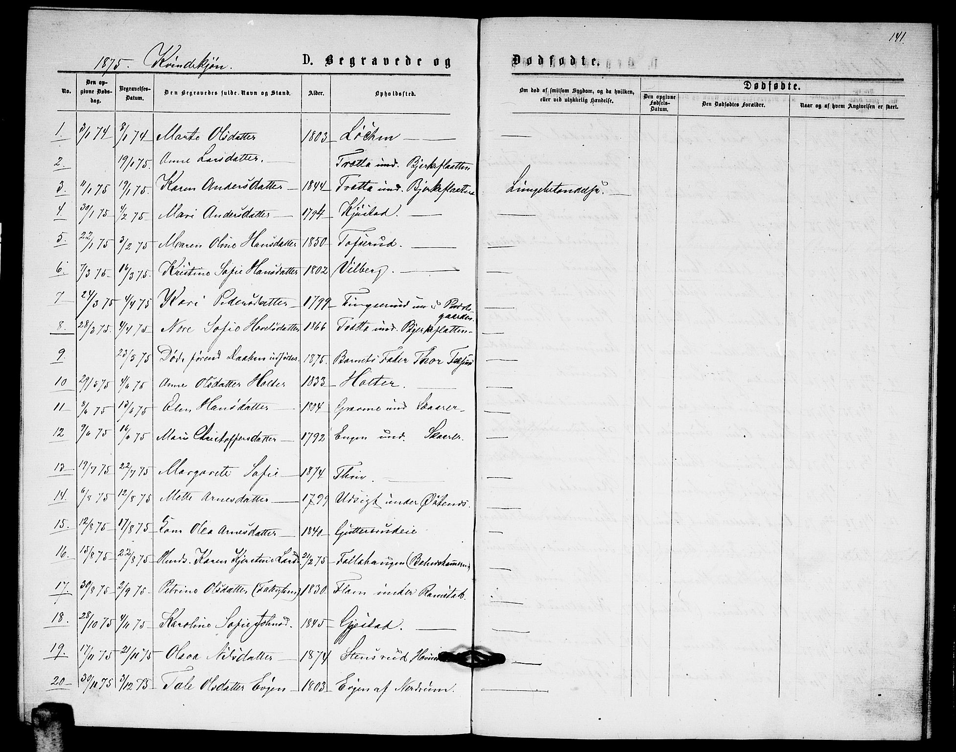 Fet prestekontor Kirkebøker, SAO/A-10370a/G/Ga/L0005: Parish register (copy) no. I 5, 1875-1877, p. 141