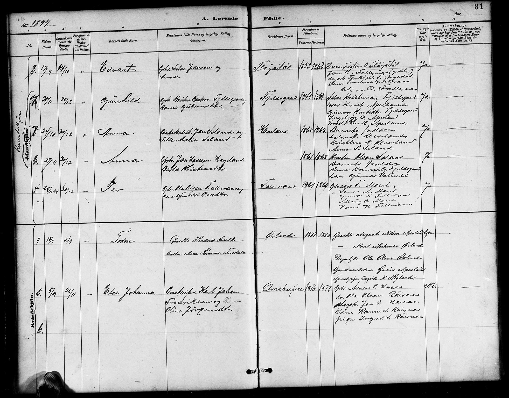 Bjelland sokneprestkontor, SAK/1111-0005/F/Fb/Fbb/L0005: Parish register (copy) no. B 5, 1887-1918, p. 31