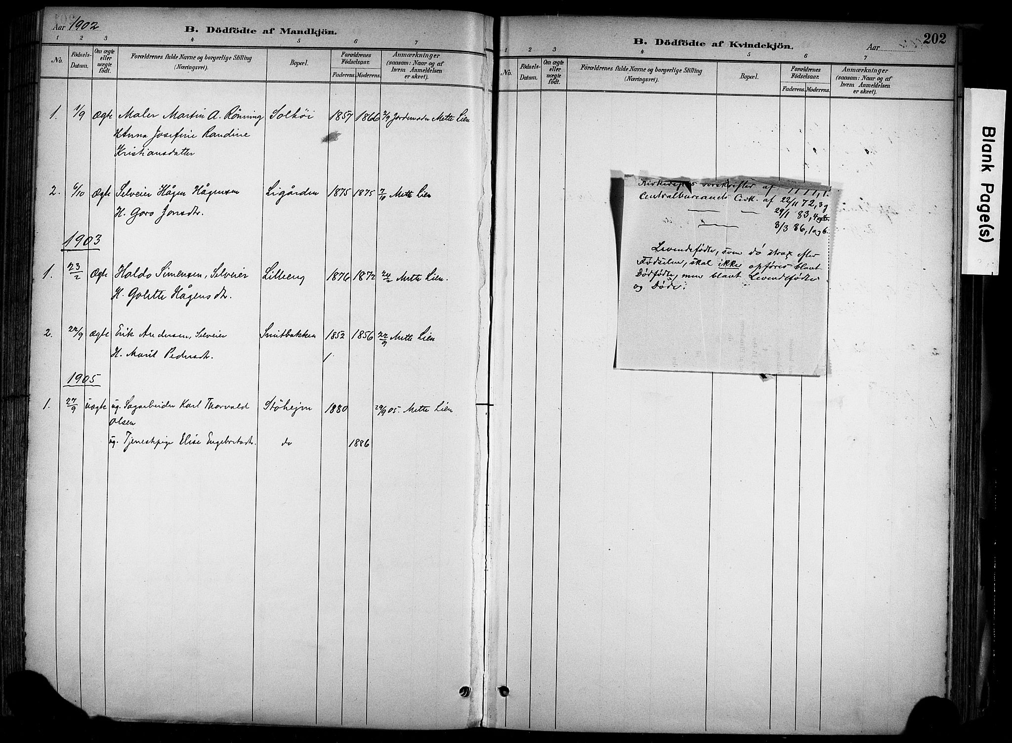 Alvdal prestekontor, SAH/PREST-060/H/Ha/Haa/L0002: Parish register (official) no. 2, 1883-1906, p. 202