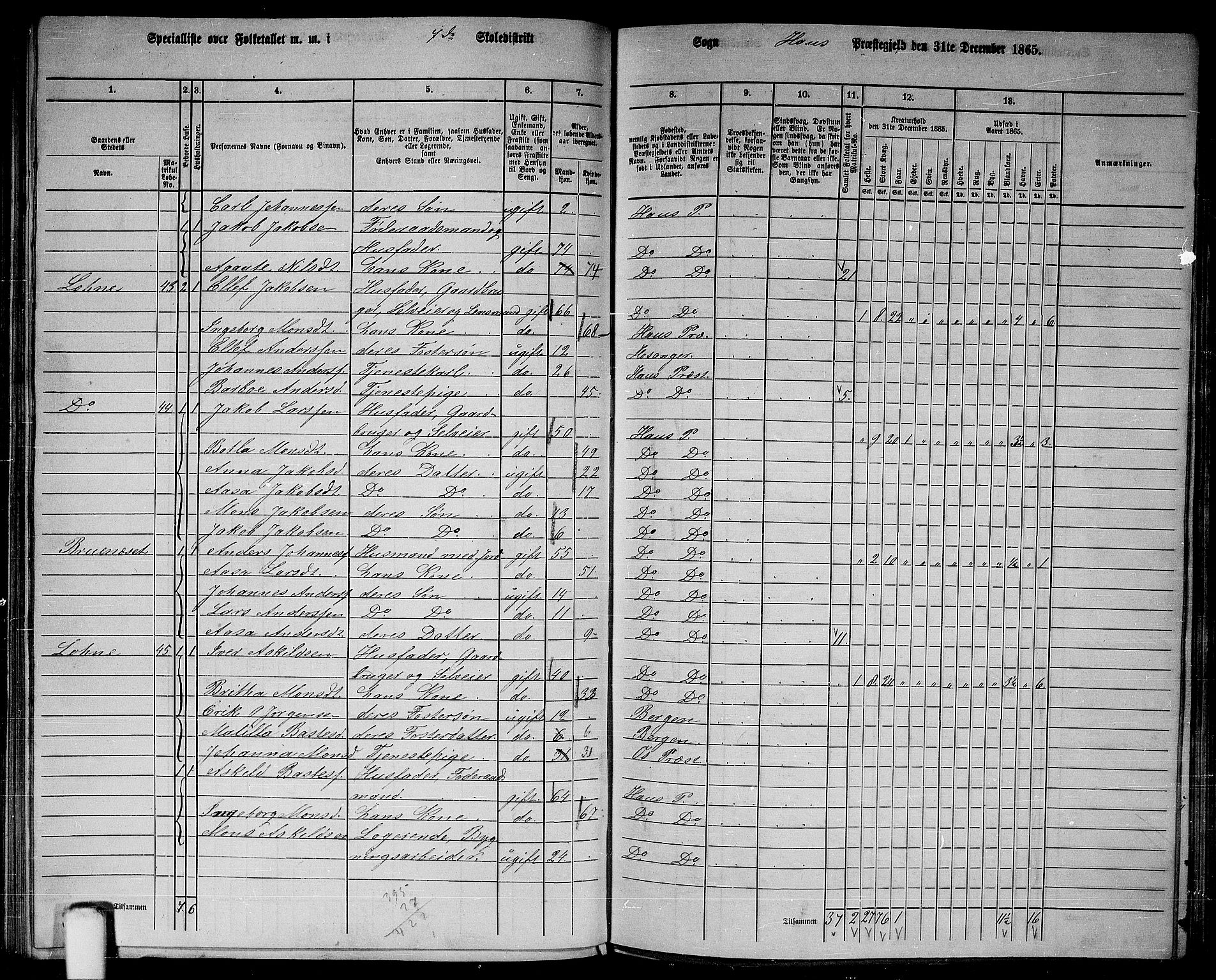 RA, 1865 census for Haus, 1865, p. 144