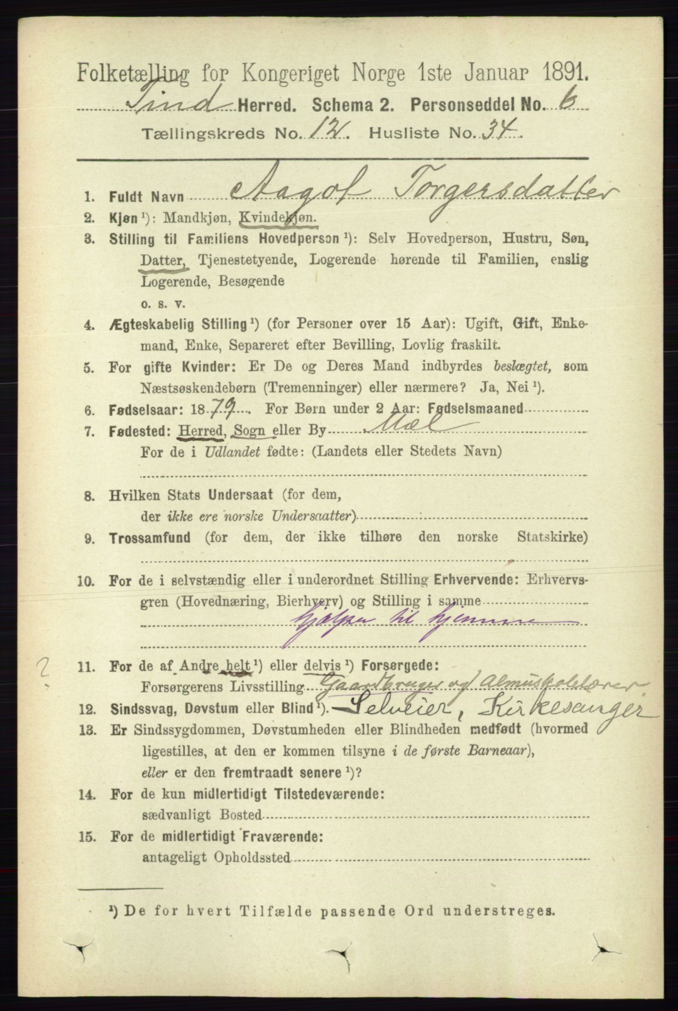 RA, 1891 census for 0826 Tinn, 1891, p. 2513