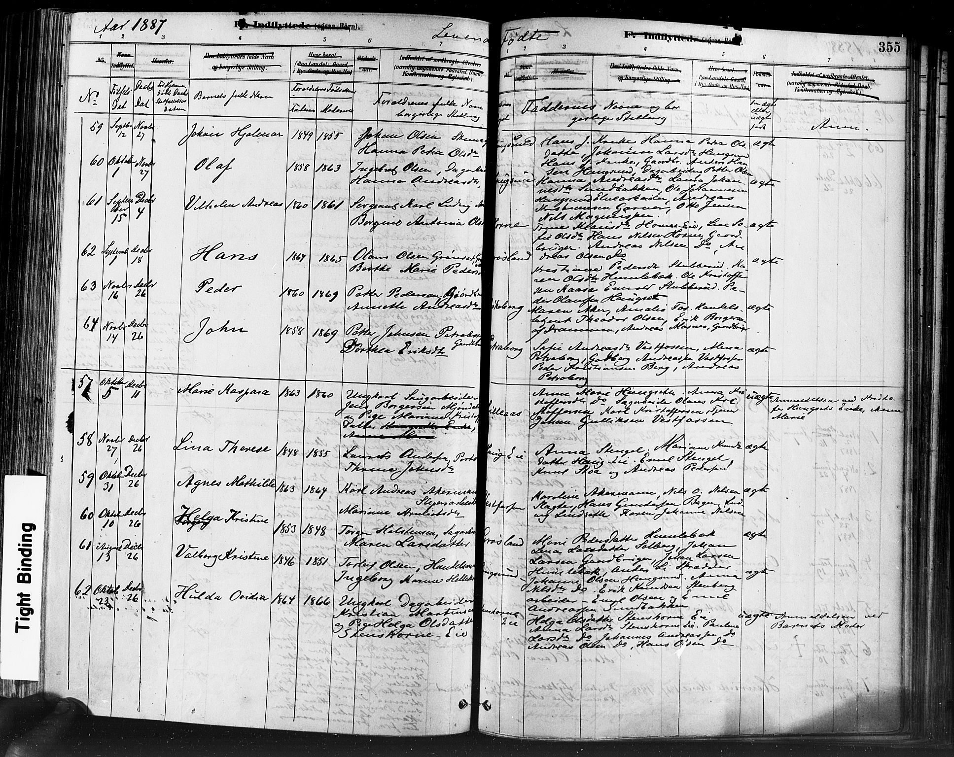 Eiker kirkebøker, AV/SAKO-A-4/F/Fb/L0001: Parish register (official) no. II 1, 1878-1888, p. 355