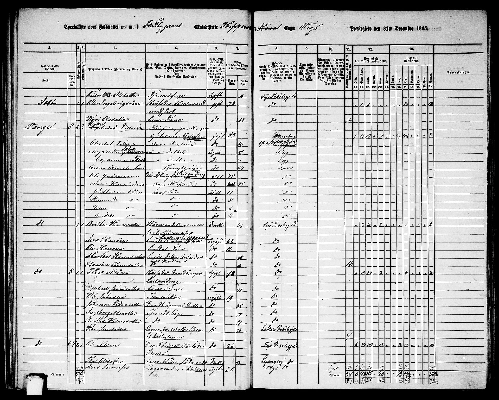 RA, 1865 census for Vik, 1865, p. 34
