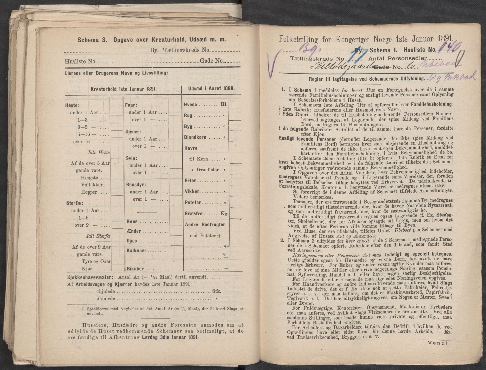 RA, 1891 Census for 1301 Bergen, 1891, p. 2767