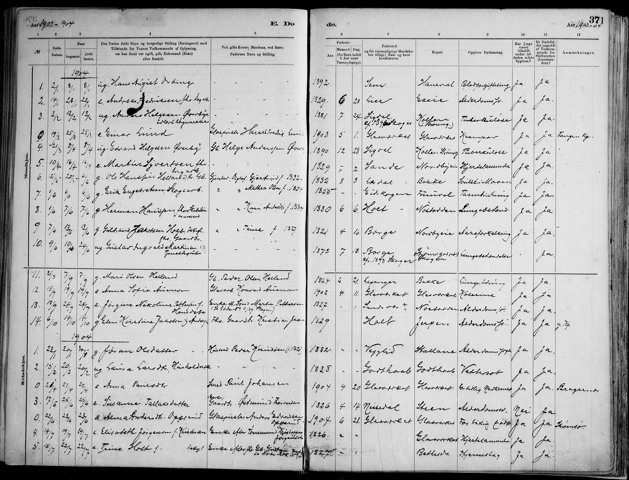 Skoger kirkebøker, AV/SAKO-A-59/F/Fa/L0006: Parish register (official) no. I 6, 1885-1910, p. 371