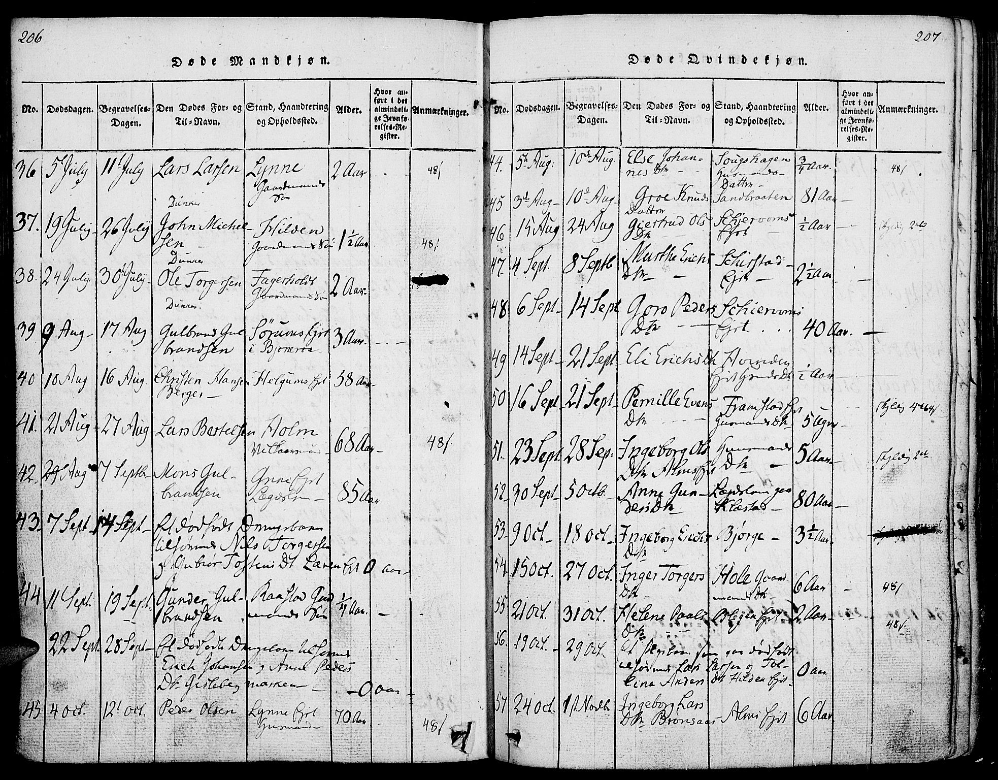 Gran prestekontor, SAH/PREST-112/H/Ha/Haa/L0009: Parish register (official) no. 9, 1815-1824, p. 206-207