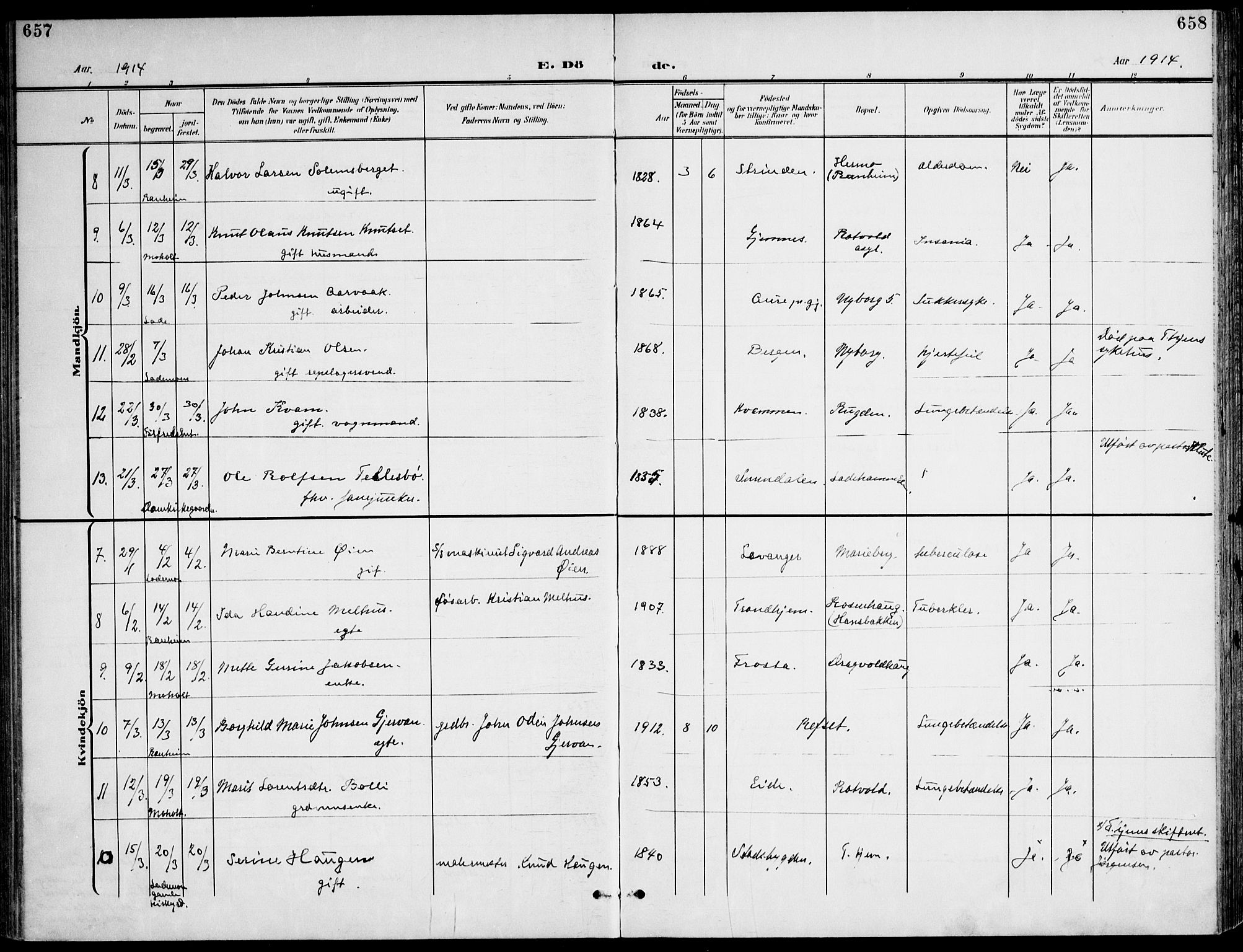 Ministerialprotokoller, klokkerbøker og fødselsregistre - Sør-Trøndelag, AV/SAT-A-1456/607/L0320: Parish register (official) no. 607A04, 1907-1915, p. 657-658