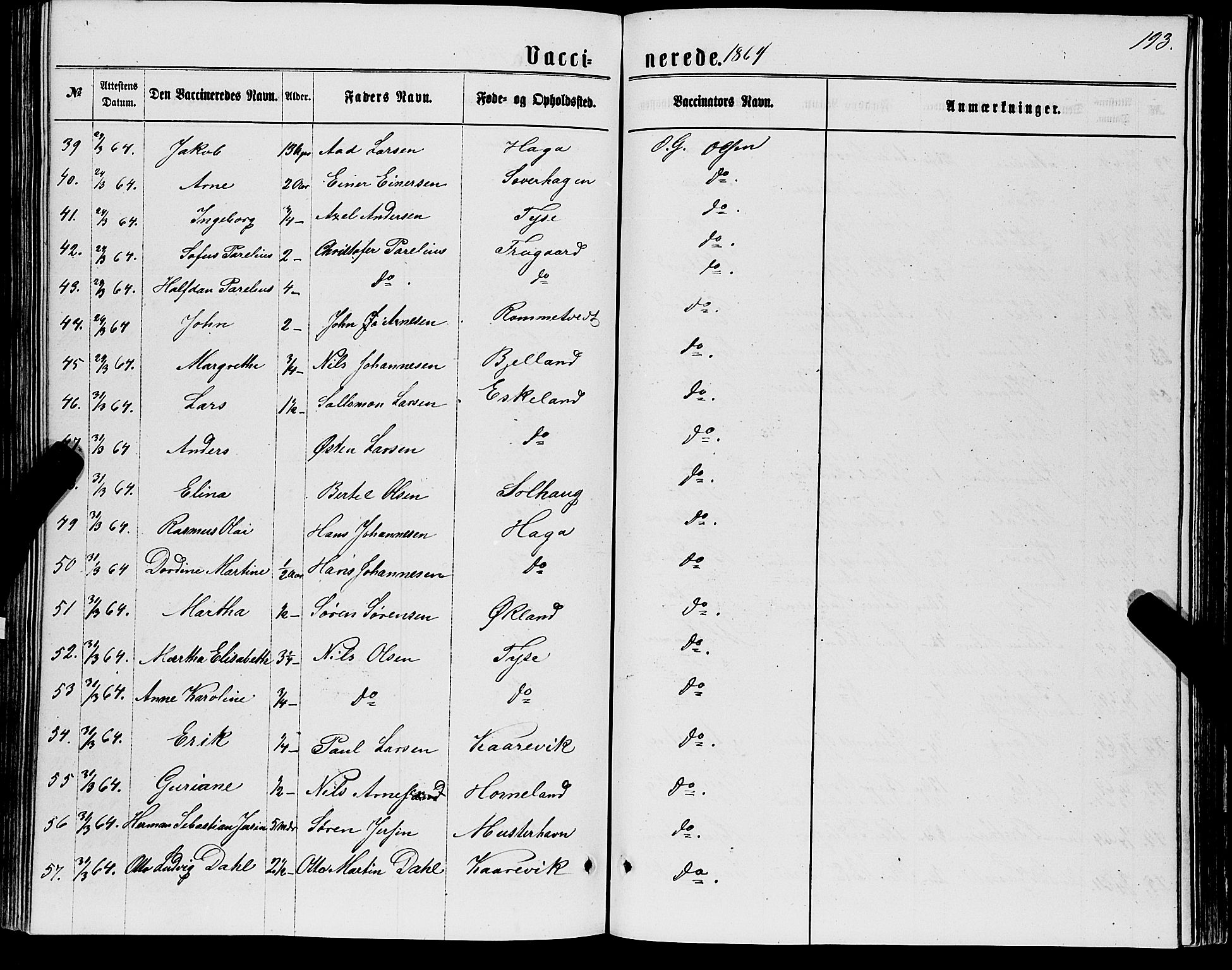 Stord sokneprestembete, AV/SAB-A-78201/H/Haa: Parish register (official) no. B 1, 1862-1877, p. 193