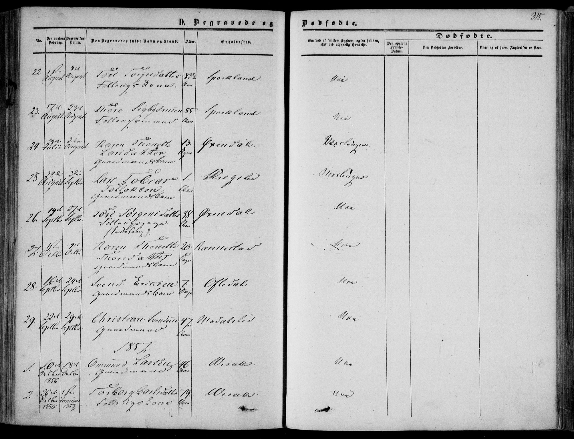 Bakke sokneprestkontor, SAK/1111-0002/F/Fa/Faa/L0006: Parish register (official) no. A 6, 1855-1877, p. 315