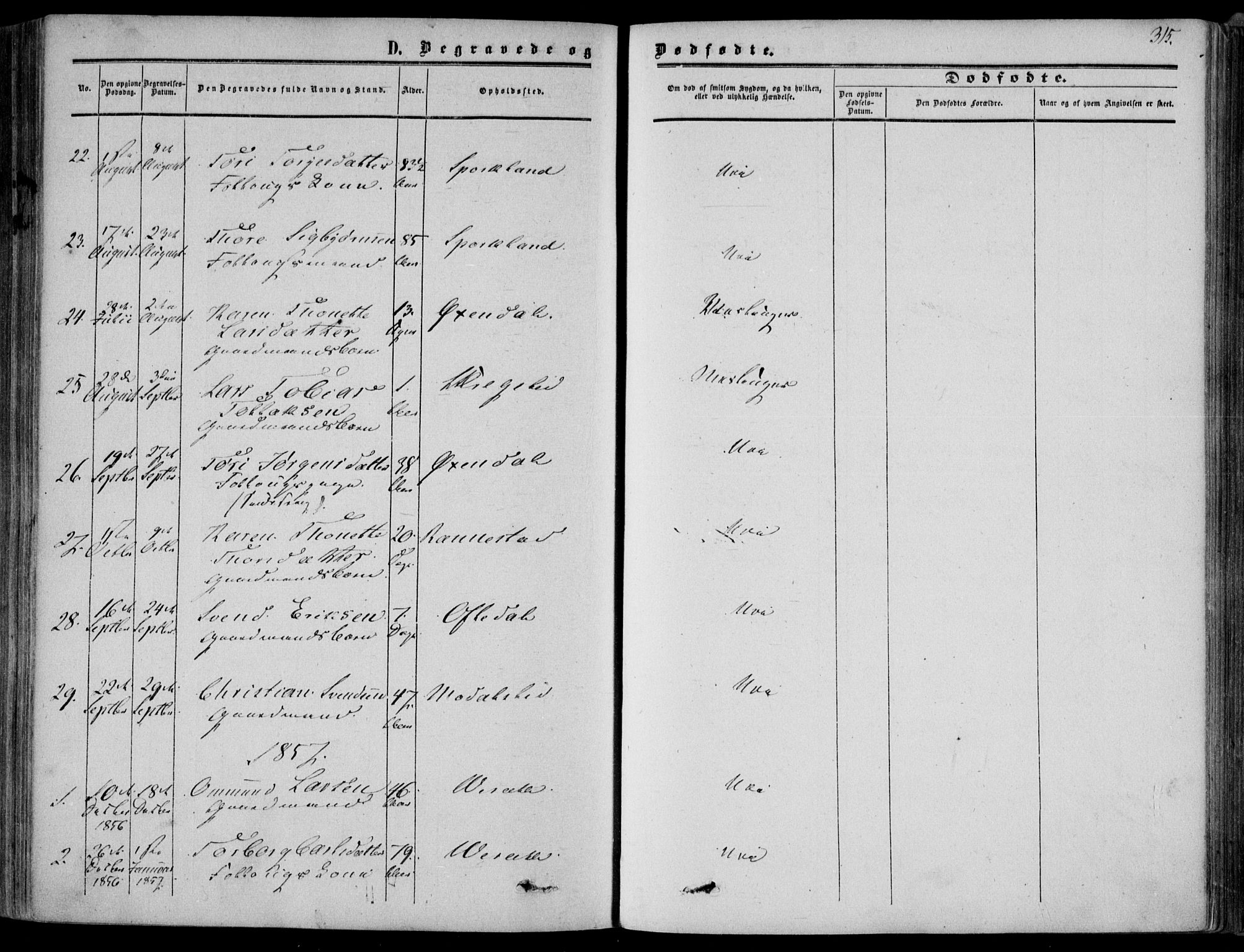 Bakke sokneprestkontor, AV/SAK-1111-0002/F/Fa/Faa/L0006: Parish register (official) no. A 6, 1855-1877, p. 315