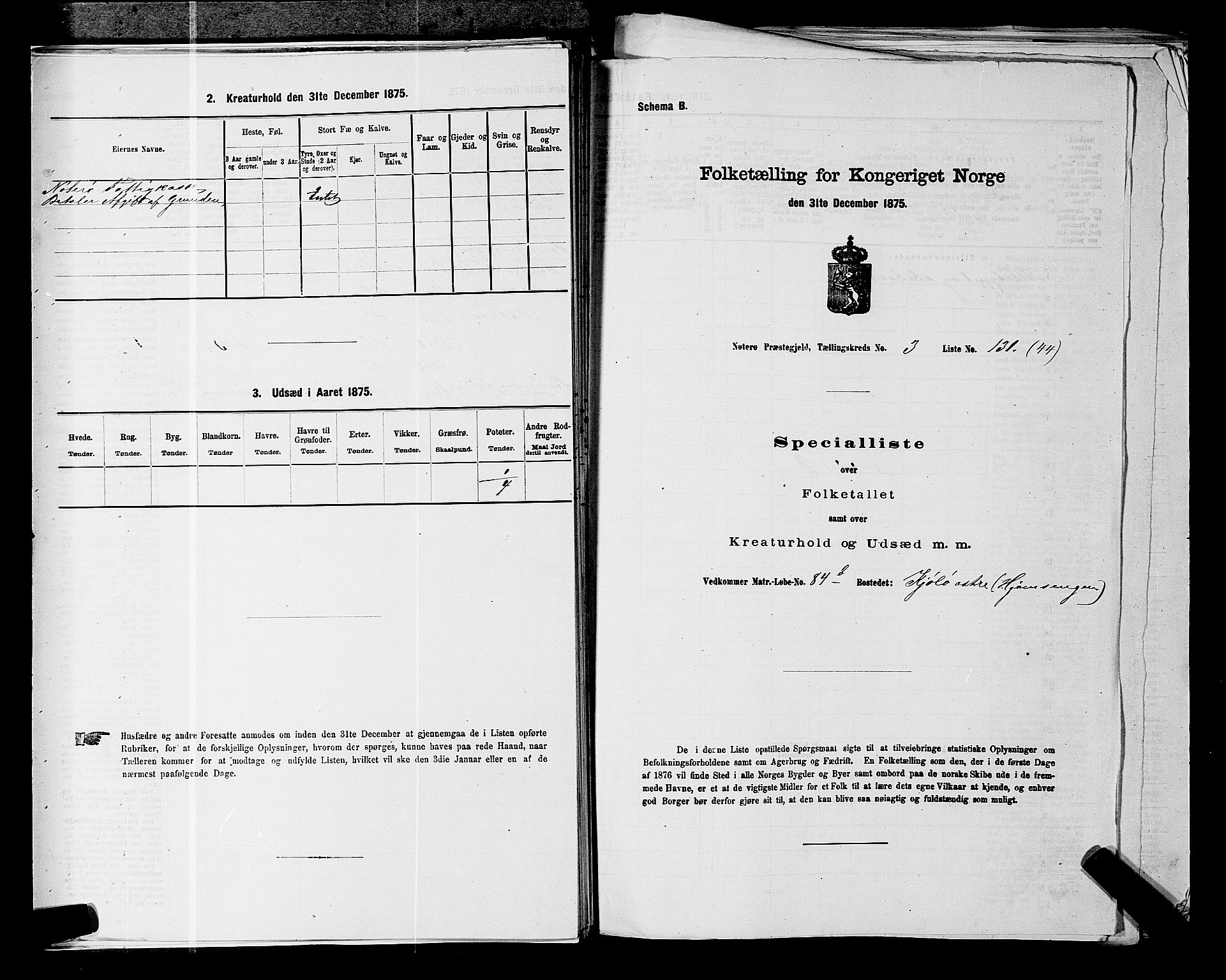 SAKO, 1875 census for 0722P Nøtterøy, 1875, p. 793