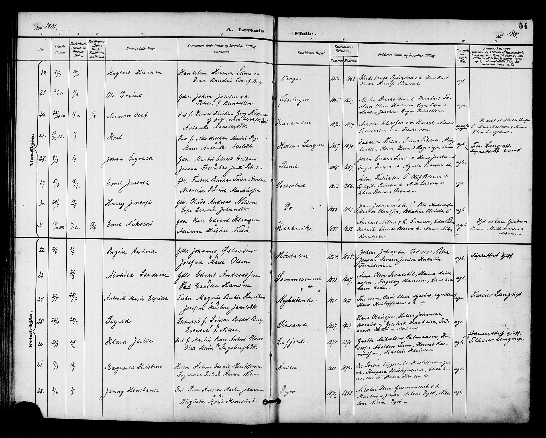 Ministerialprotokoller, klokkerbøker og fødselsregistre - Nordland, SAT/A-1459/893/L1338: Parish register (official) no. 893A10, 1894-1903, p. 54