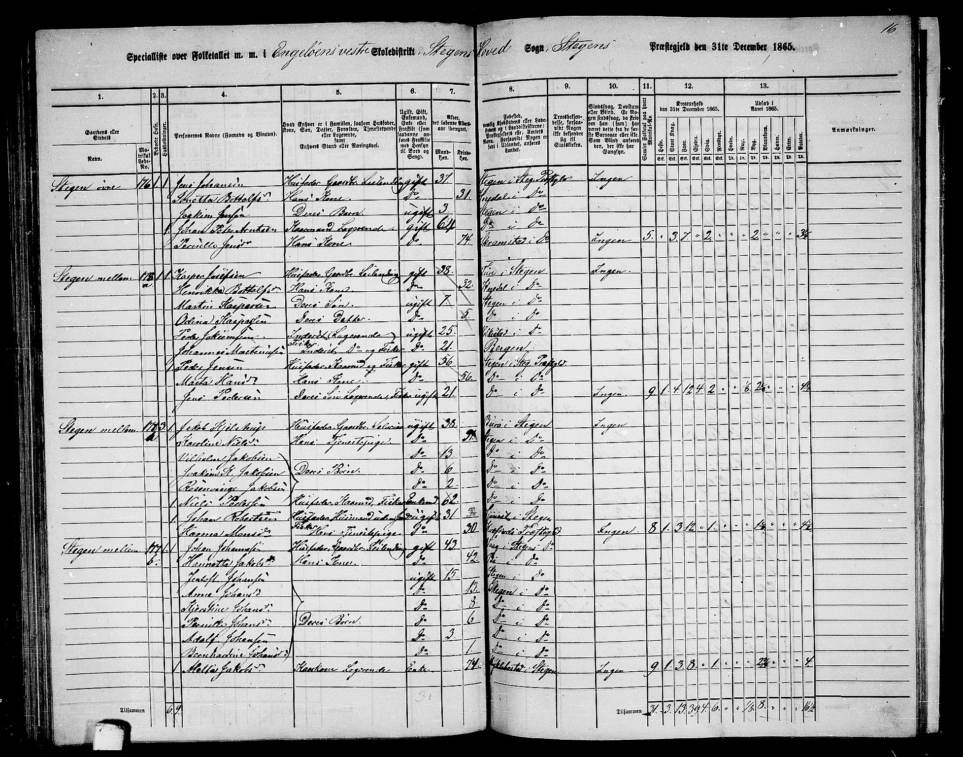 RA, 1865 census for Steigen, 1865, p. 104