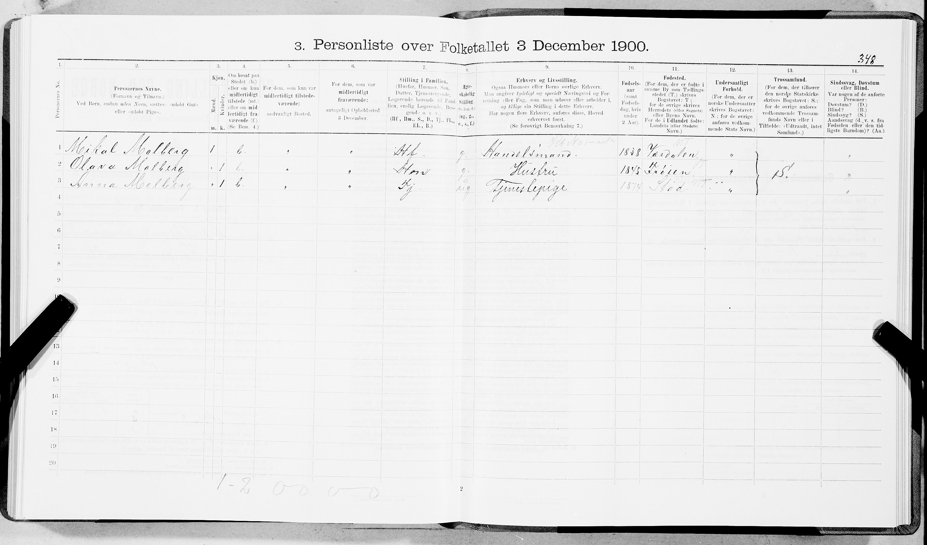 SAT, 1900 census for Trondheim, 1900, p. 5247