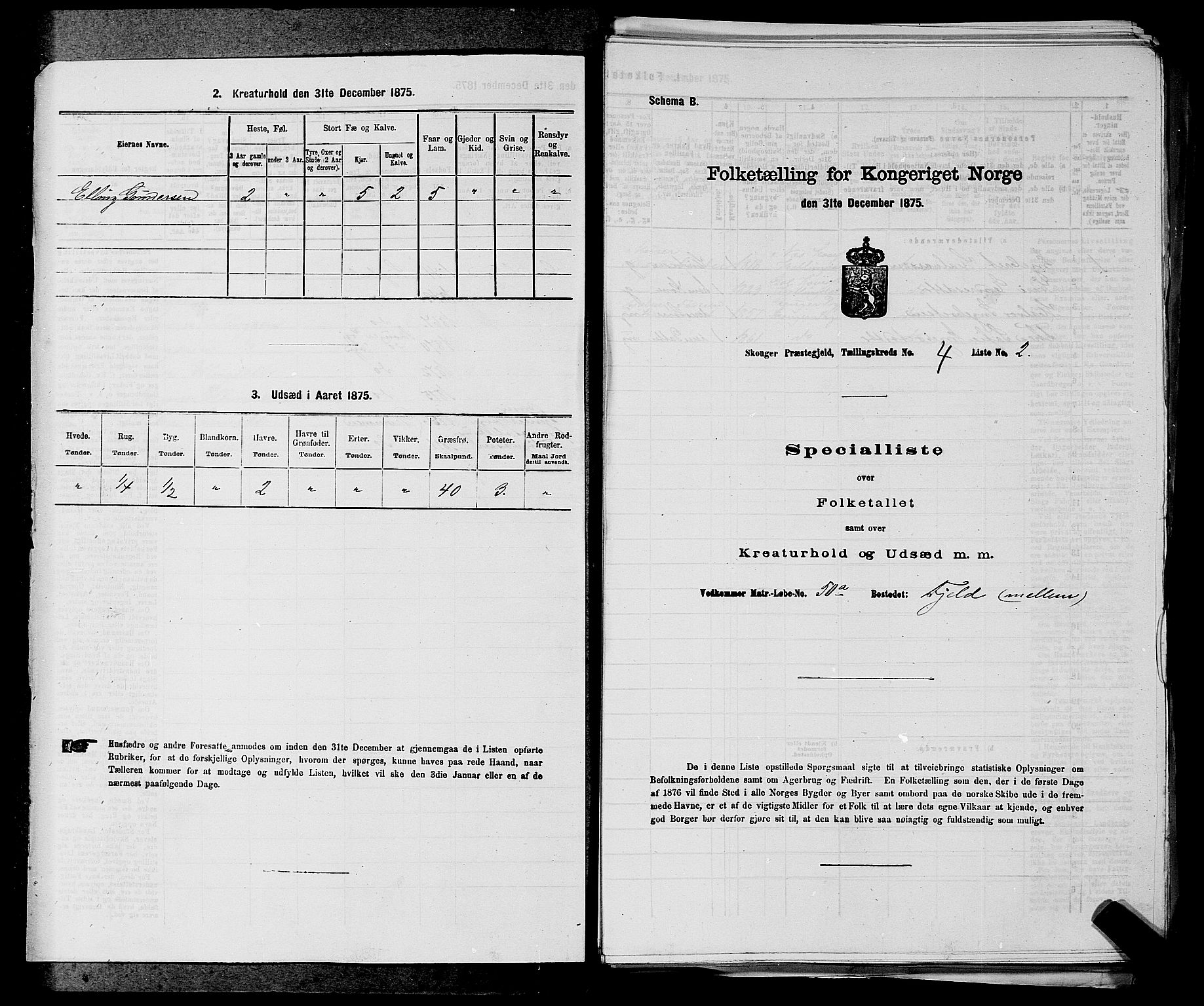 SAKO, 1875 census for 0712P Skoger, 1875, p. 399