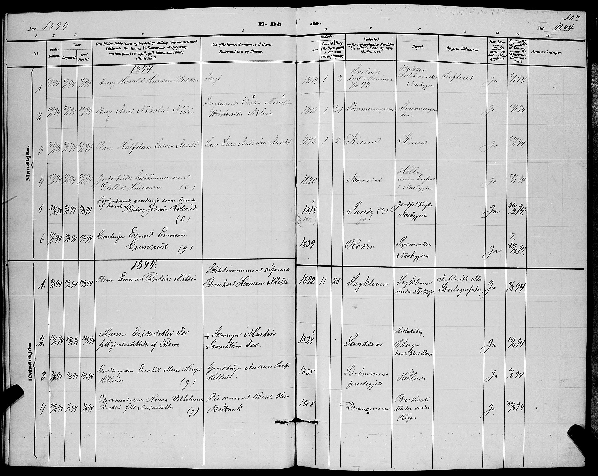 Strømm kirkebøker, SAKO/A-322/G/Ga/L0003: Parish register (copy) no. I 3, 1889-1896, p. 107