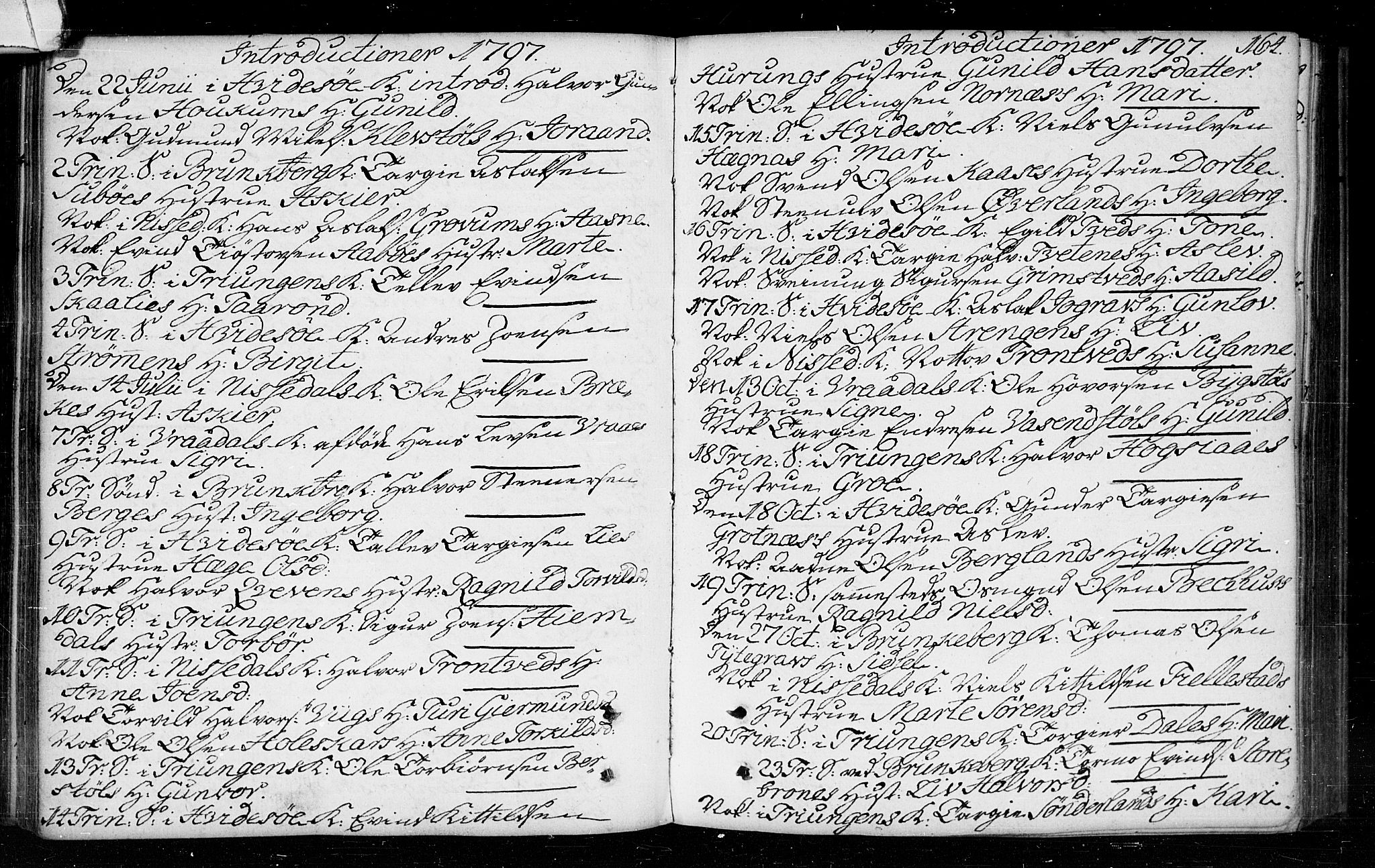 Kviteseid kirkebøker, AV/SAKO-A-276/F/Fa/L0003: Parish register (official) no. I 3, 1787-1799, p. 164