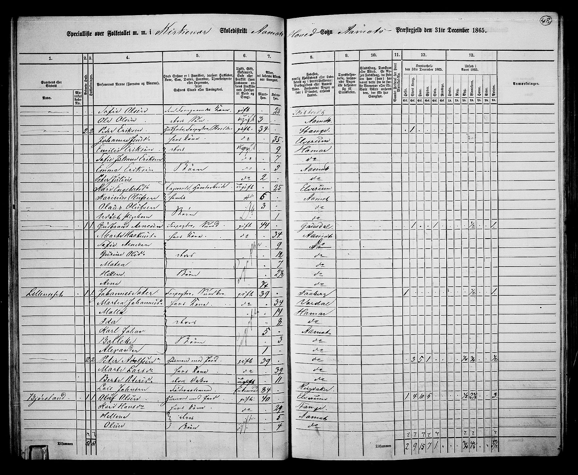 RA, 1865 census for Åmot, 1865, p. 45