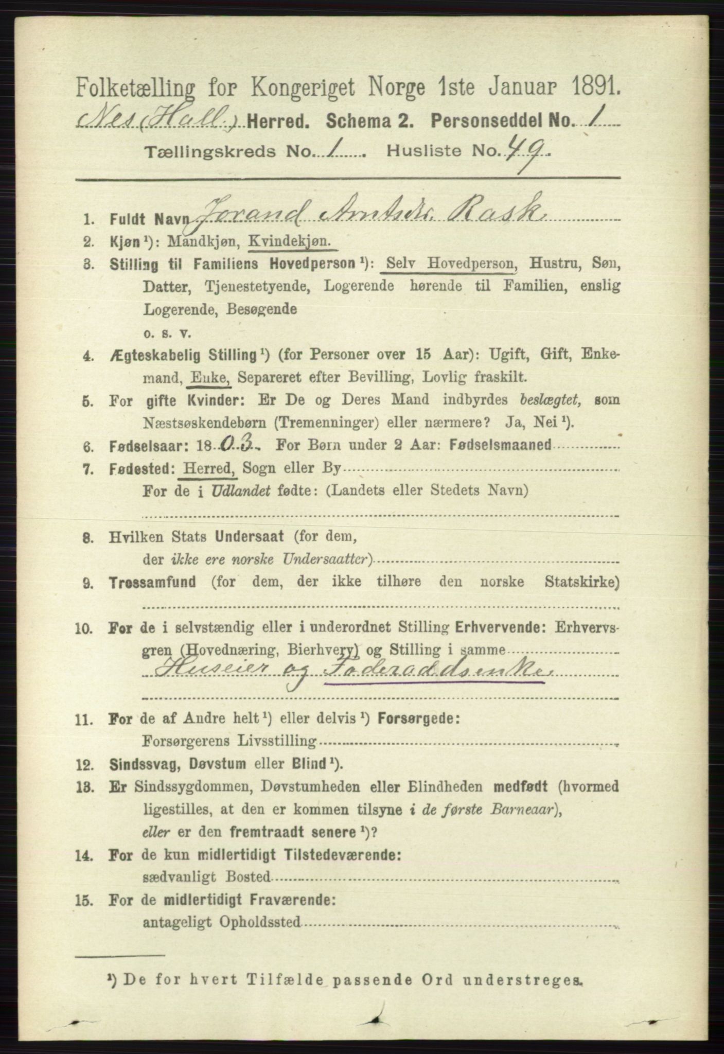 RA, 1891 census for 0616 Nes, 1891, p. 426