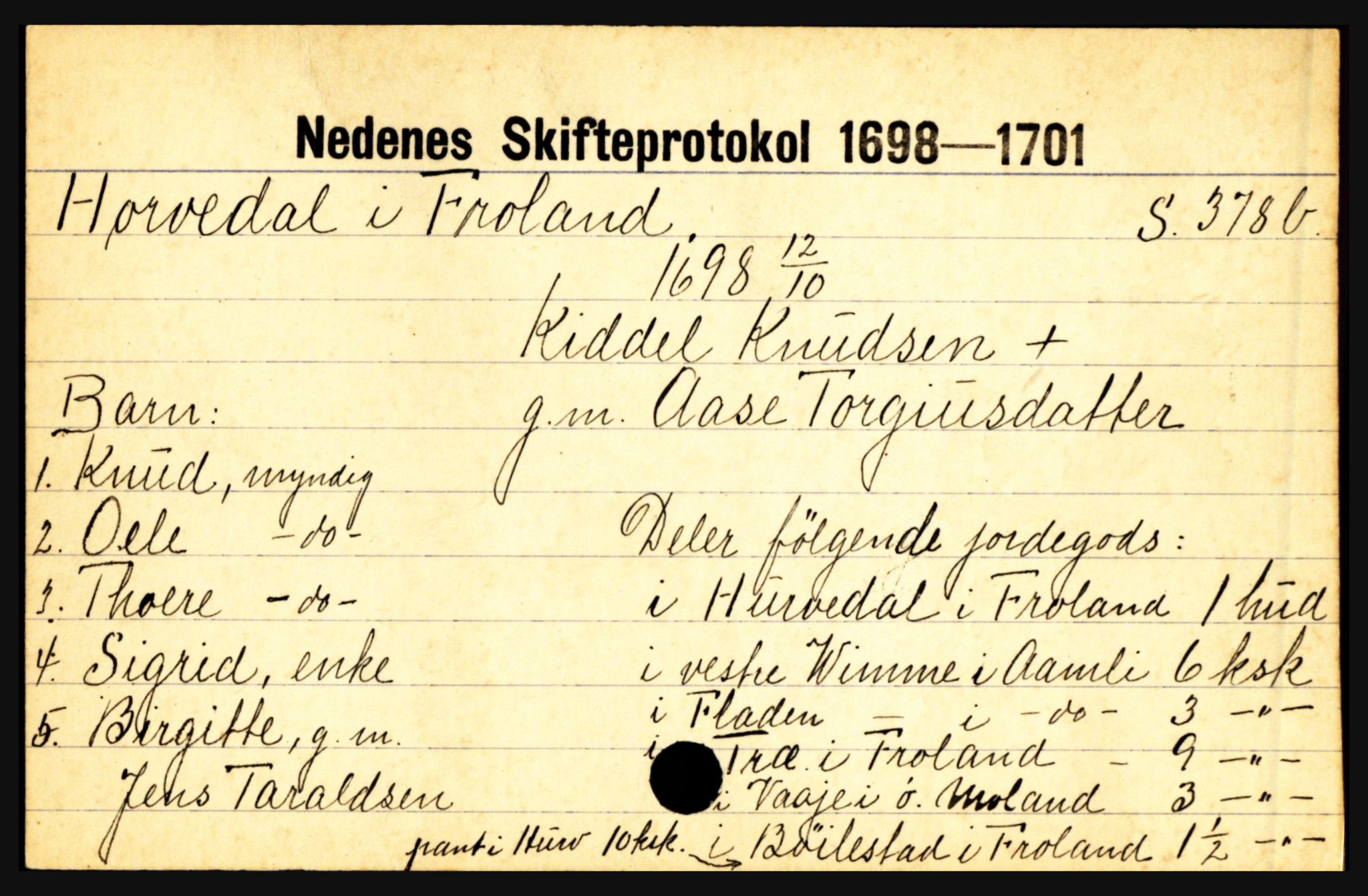 Nedenes sorenskriveri før 1824, AV/SAK-1221-0007/H, p. 13027