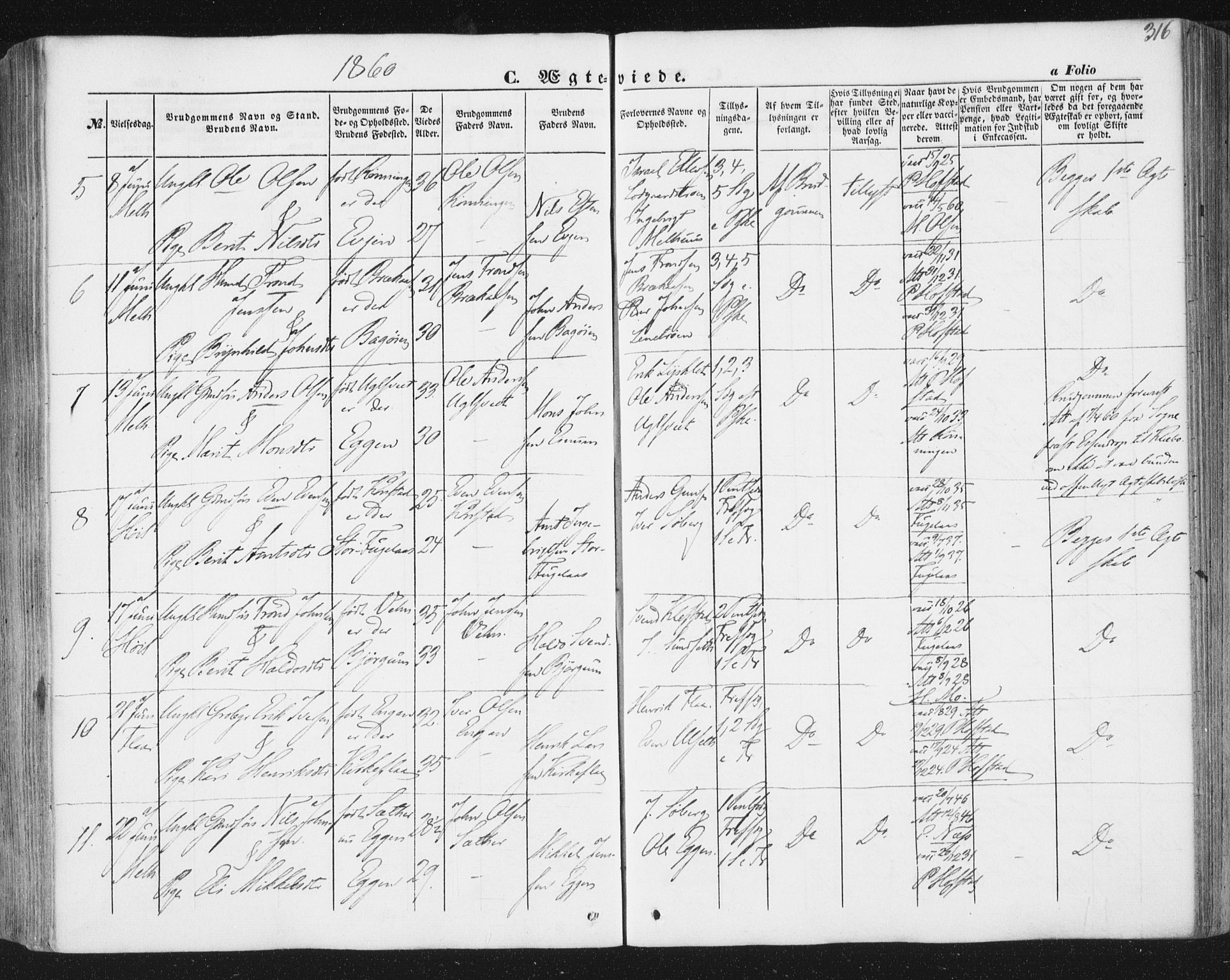 Ministerialprotokoller, klokkerbøker og fødselsregistre - Sør-Trøndelag, AV/SAT-A-1456/691/L1076: Parish register (official) no. 691A08, 1852-1861, p. 316