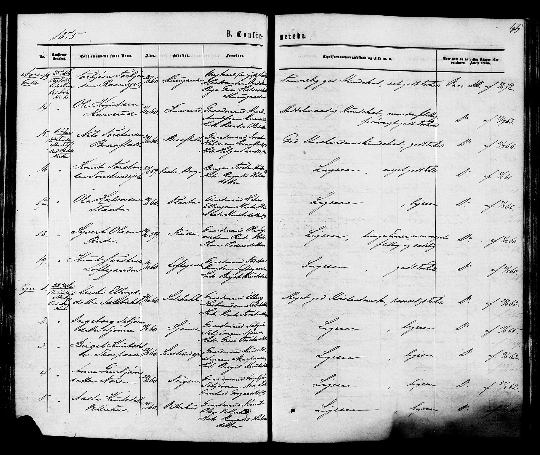 Nore kirkebøker, AV/SAKO-A-238/F/Fa/L0004: Parish register (official) no. I 4, 1867-1877, p. 45