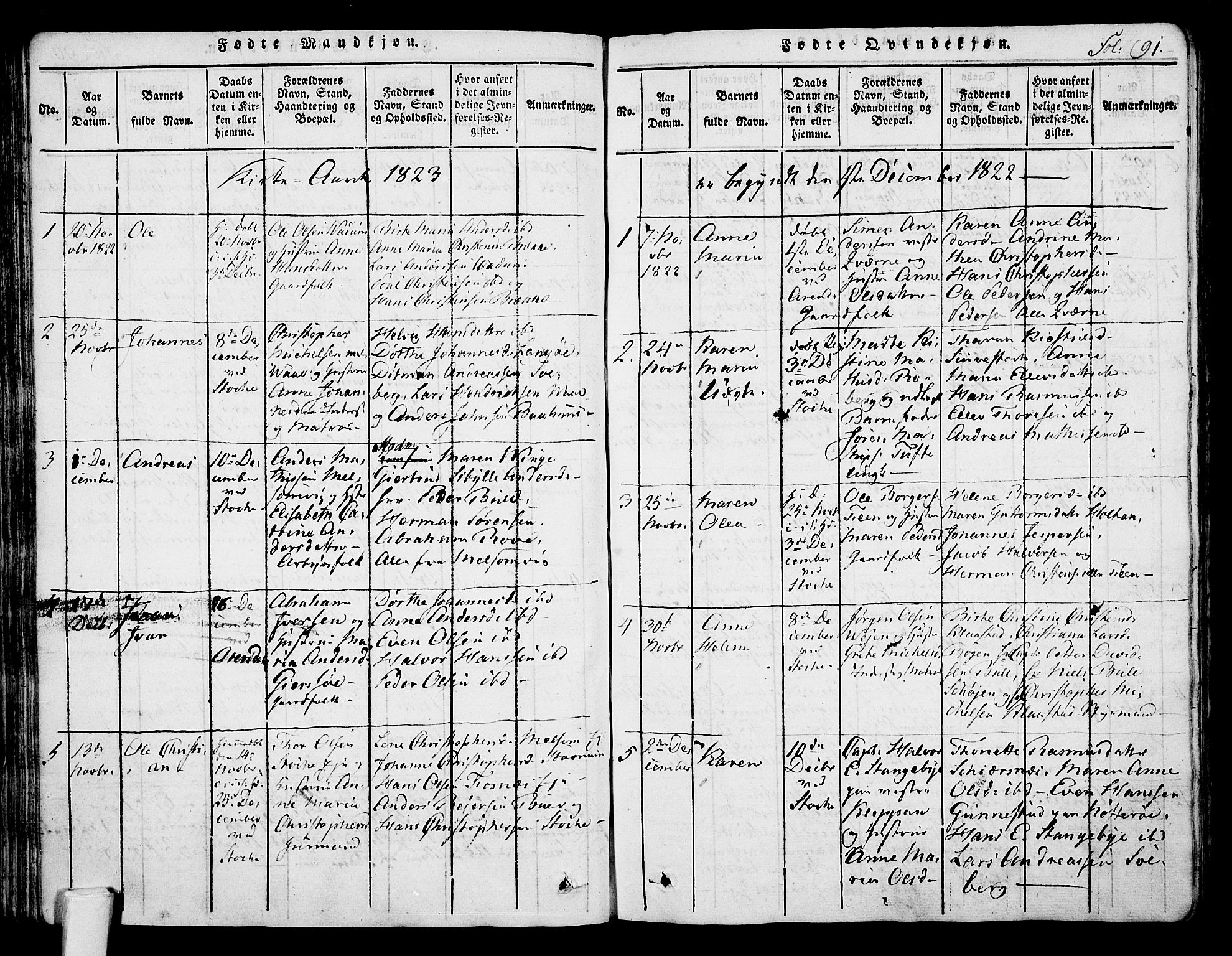 Stokke kirkebøker, AV/SAKO-A-320/F/Fa/L0005: Parish register (official) no. I 5, 1815-1826, p. 91