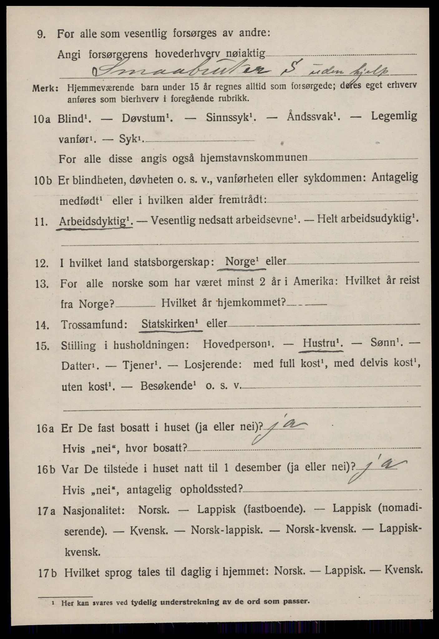 SAT, 1920 census for Heim, 1920, p. 1896