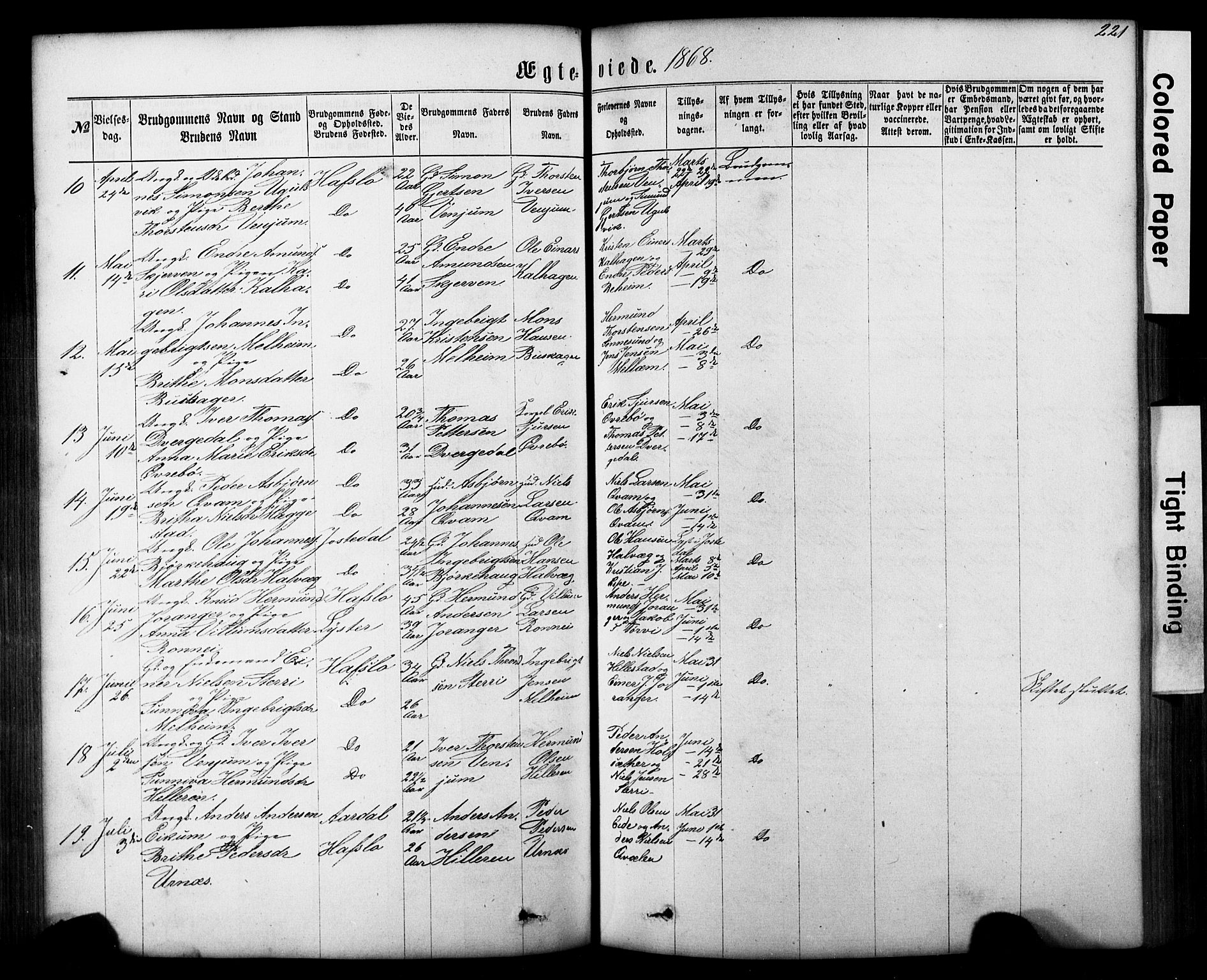 Hafslo sokneprestembete, SAB/A-80301/H/Hab/Haba/L0001: Parish register (copy) no. A 1, 1866-1908, p. 221