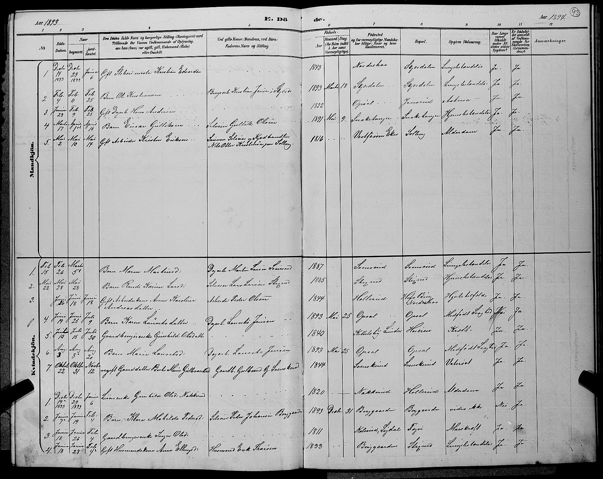 Hole kirkebøker, AV/SAKO-A-228/G/Gb/L0003: Parish register (copy) no. II 3, 1890-1901, p. 93