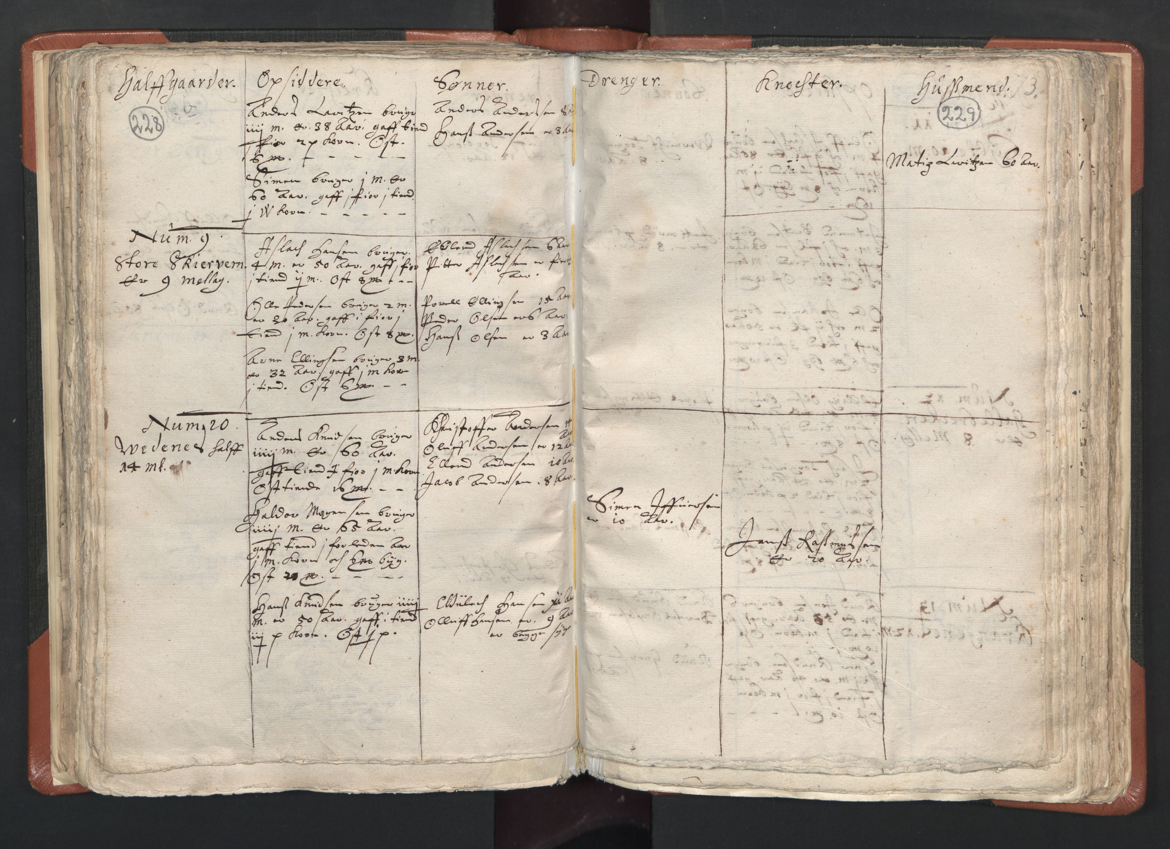 RA, Vicar's Census 1664-1666, no. 26: Sunnmøre deanery, 1664-1666, p. 228-229