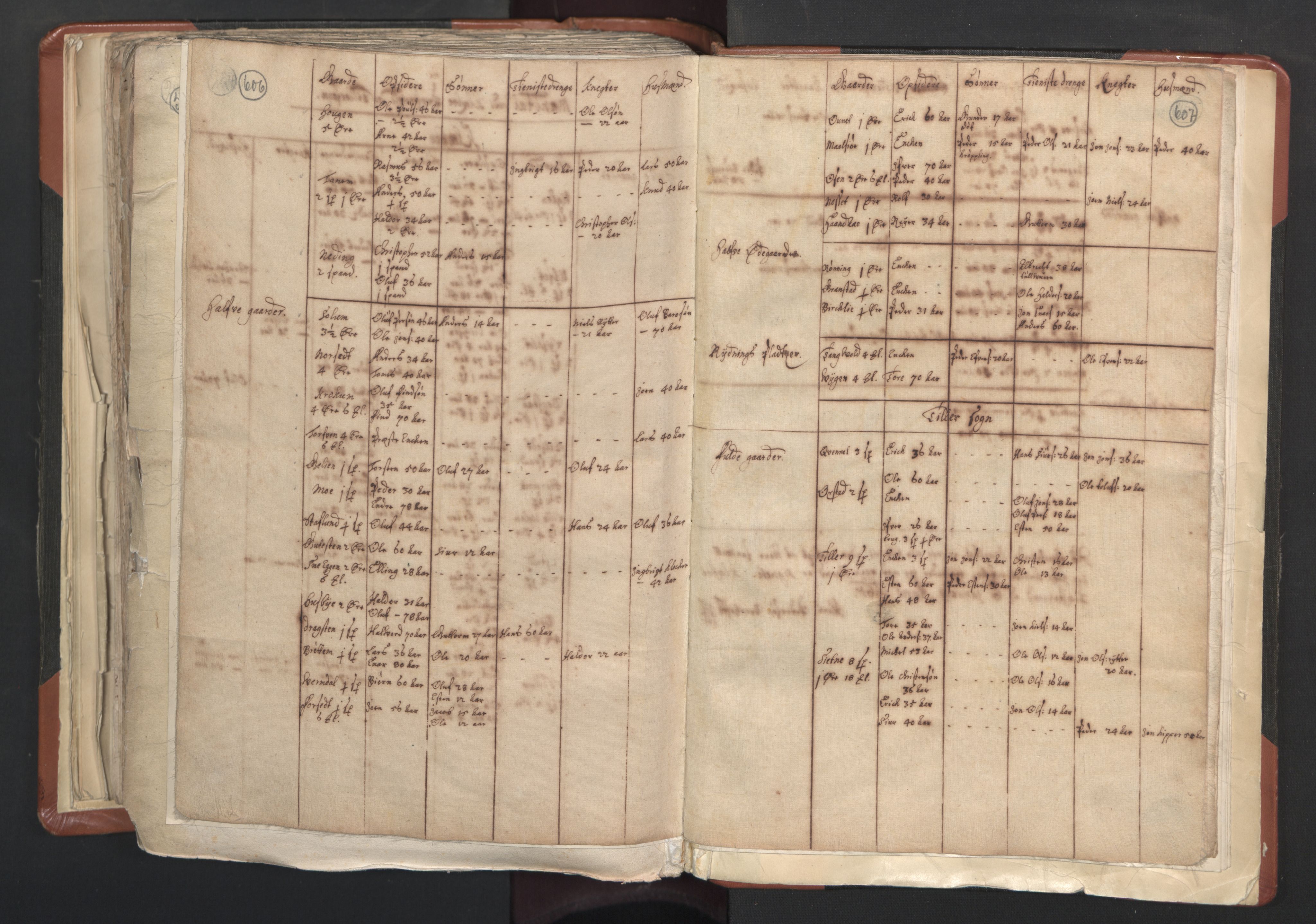RA, Vicar's Census 1664-1666, no. 31: Dalane deanery, 1664-1666, p. 606-607