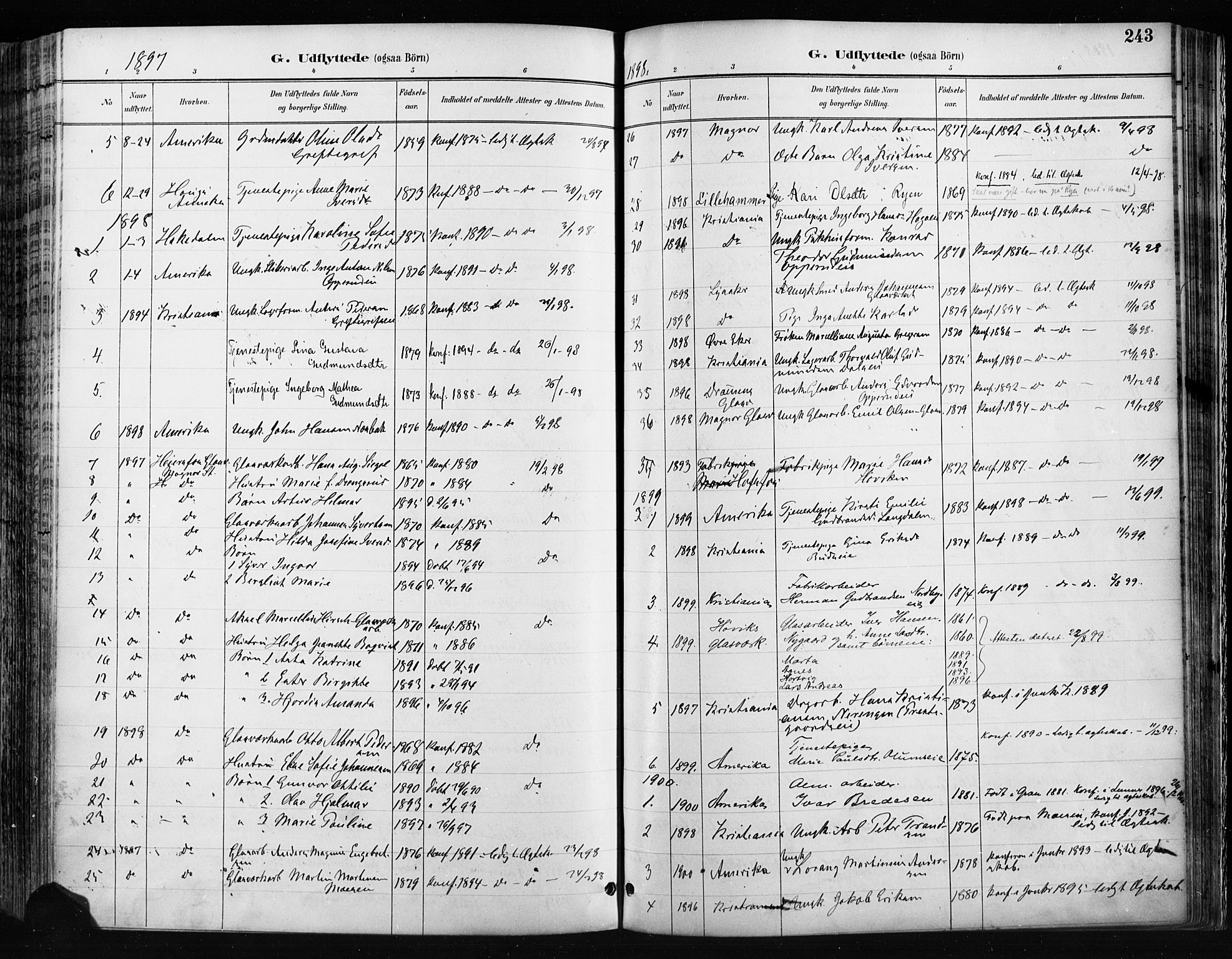 Jevnaker prestekontor, SAH/PREST-116/H/Ha/Haa/L0009: Parish register (official) no. 9, 1891-1901, p. 243