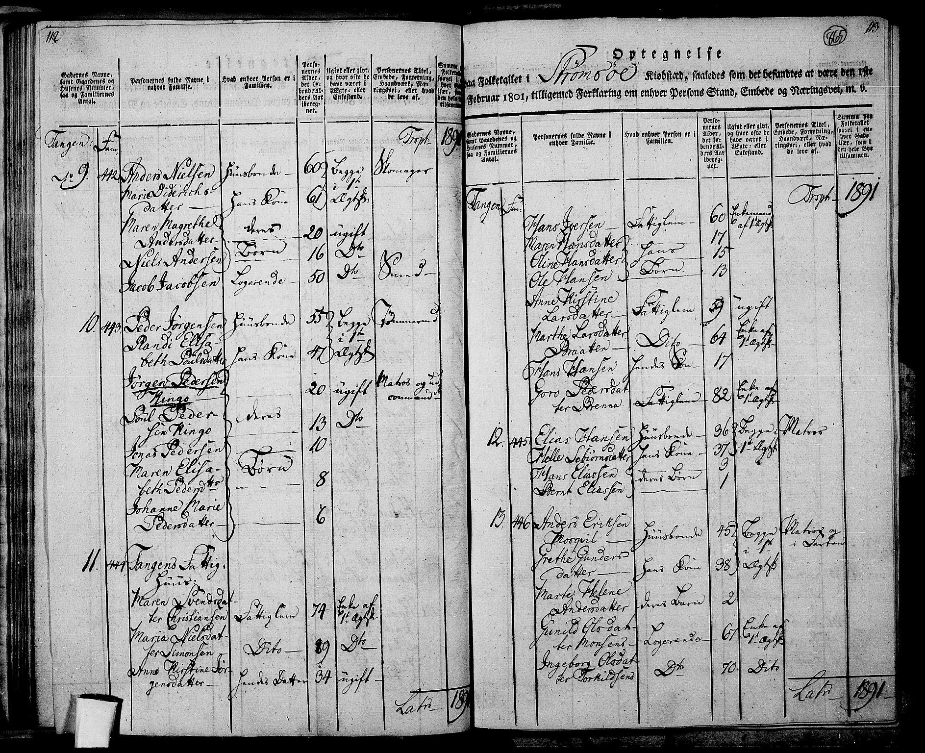 RA, 1801 census for 0602P Bragernes, 1801, p. 864b-865a