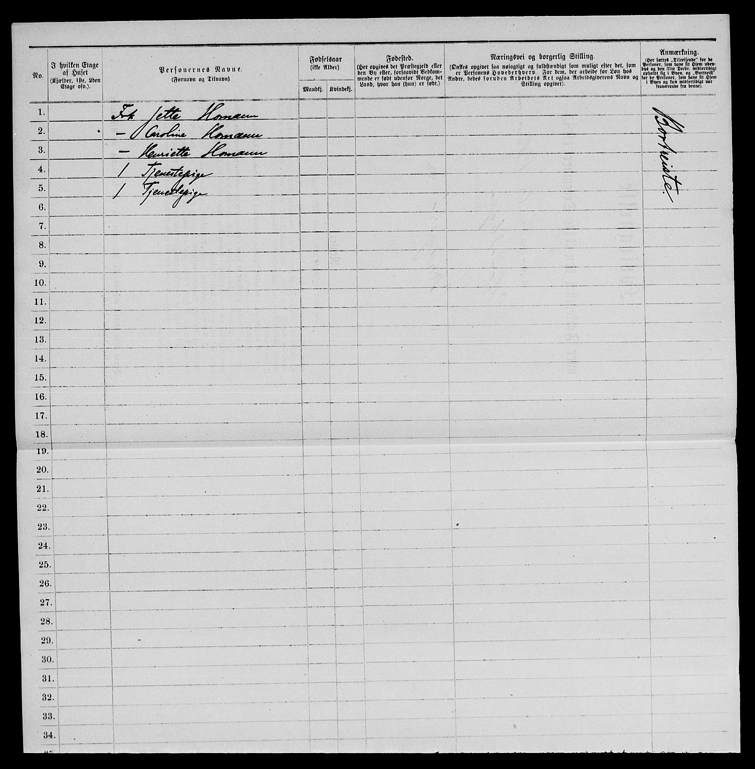 SAKO, 1885 census for 0801 Kragerø, 1885, p. 1043