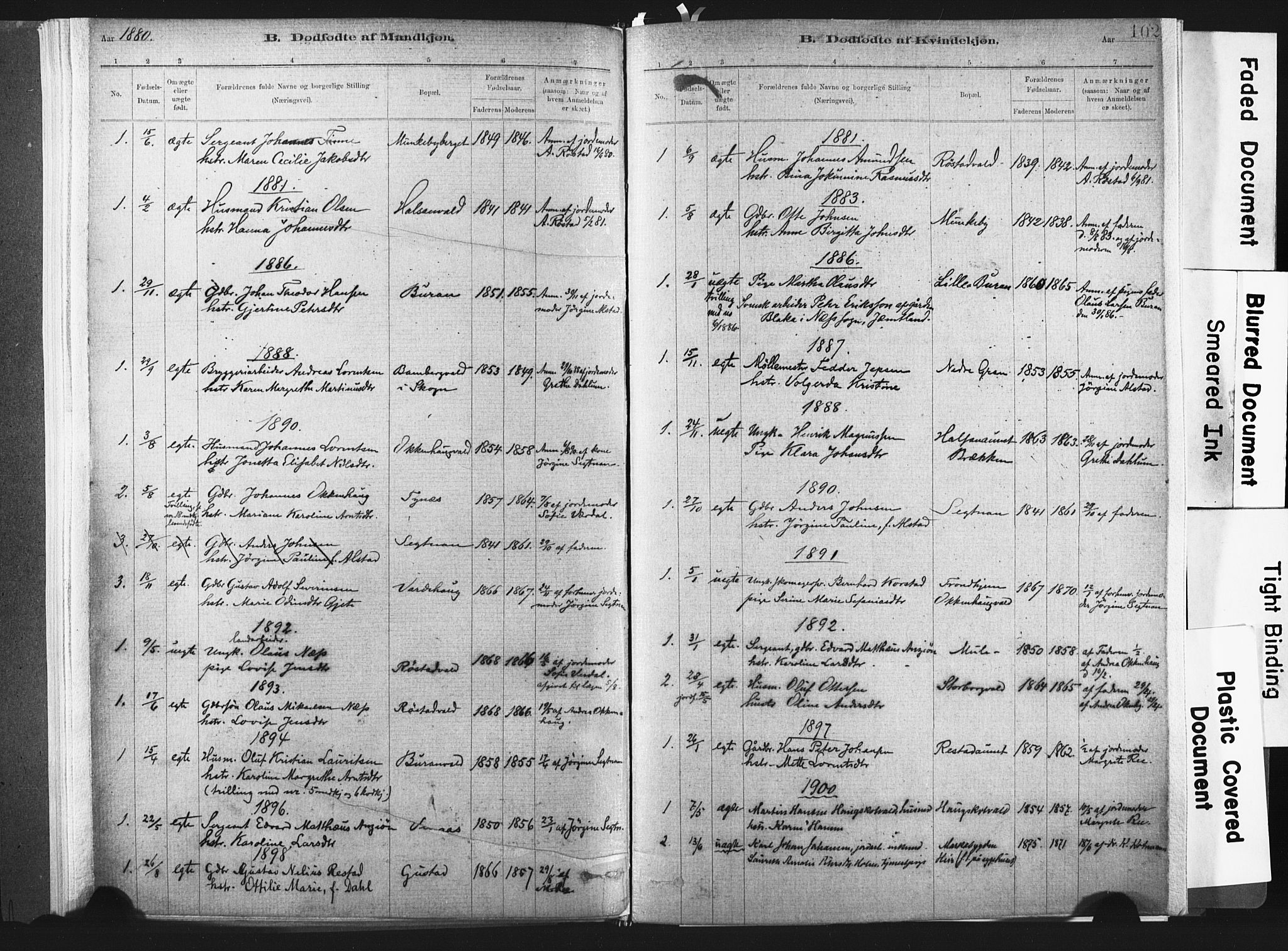 Ministerialprotokoller, klokkerbøker og fødselsregistre - Nord-Trøndelag, SAT/A-1458/721/L0207: Parish register (official) no. 721A02, 1880-1911, p. 102