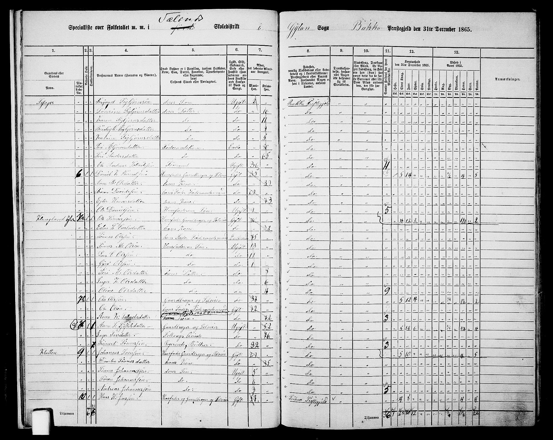 RA, 1865 census for Bakke, 1865, p. 16