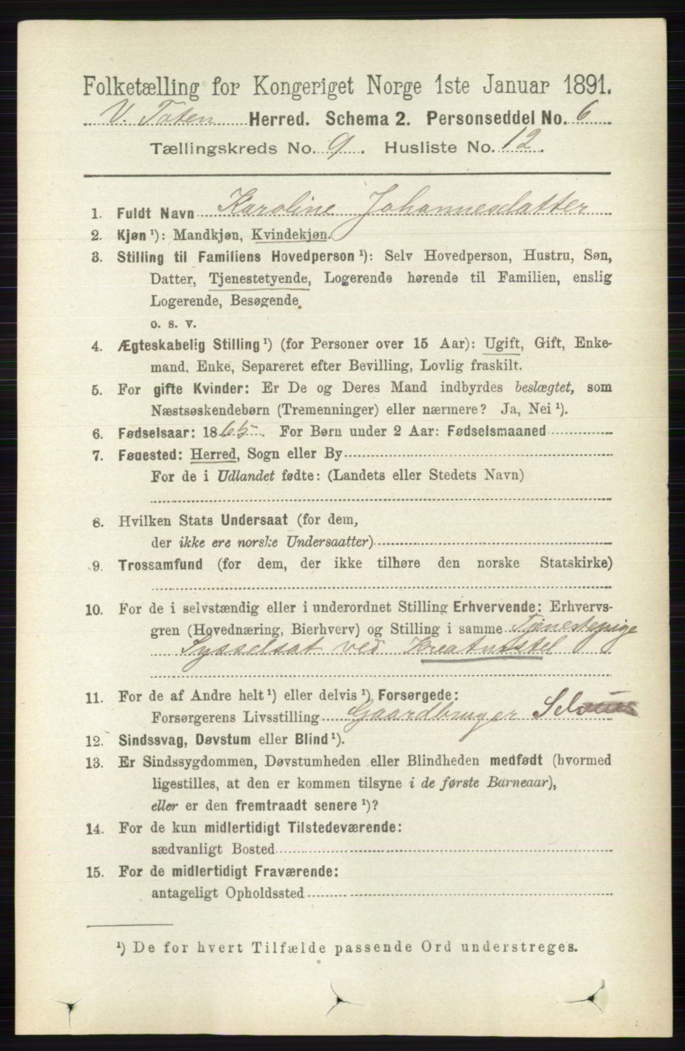 RA, 1891 census for 0529 Vestre Toten, 1891, p. 5624