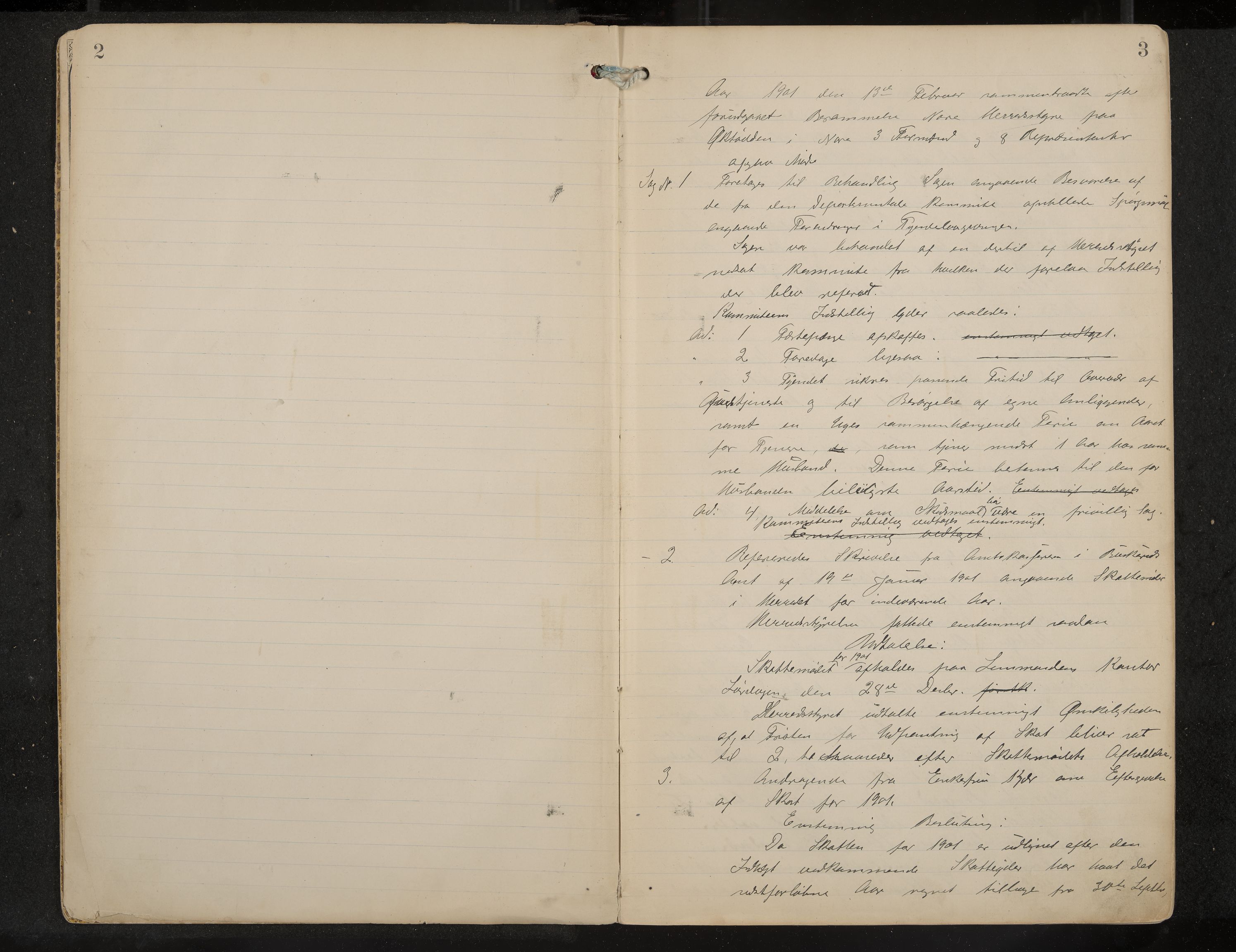 Nore formannskap og sentraladministrasjon, IKAK/0633021-2/A/Aa/L0001: Møtebok, 1901-1911, p. 2-3