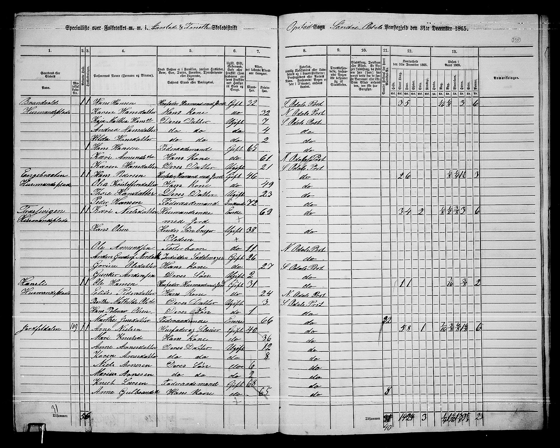 RA, 1865 census for Sør-Odal, 1865, p. 294