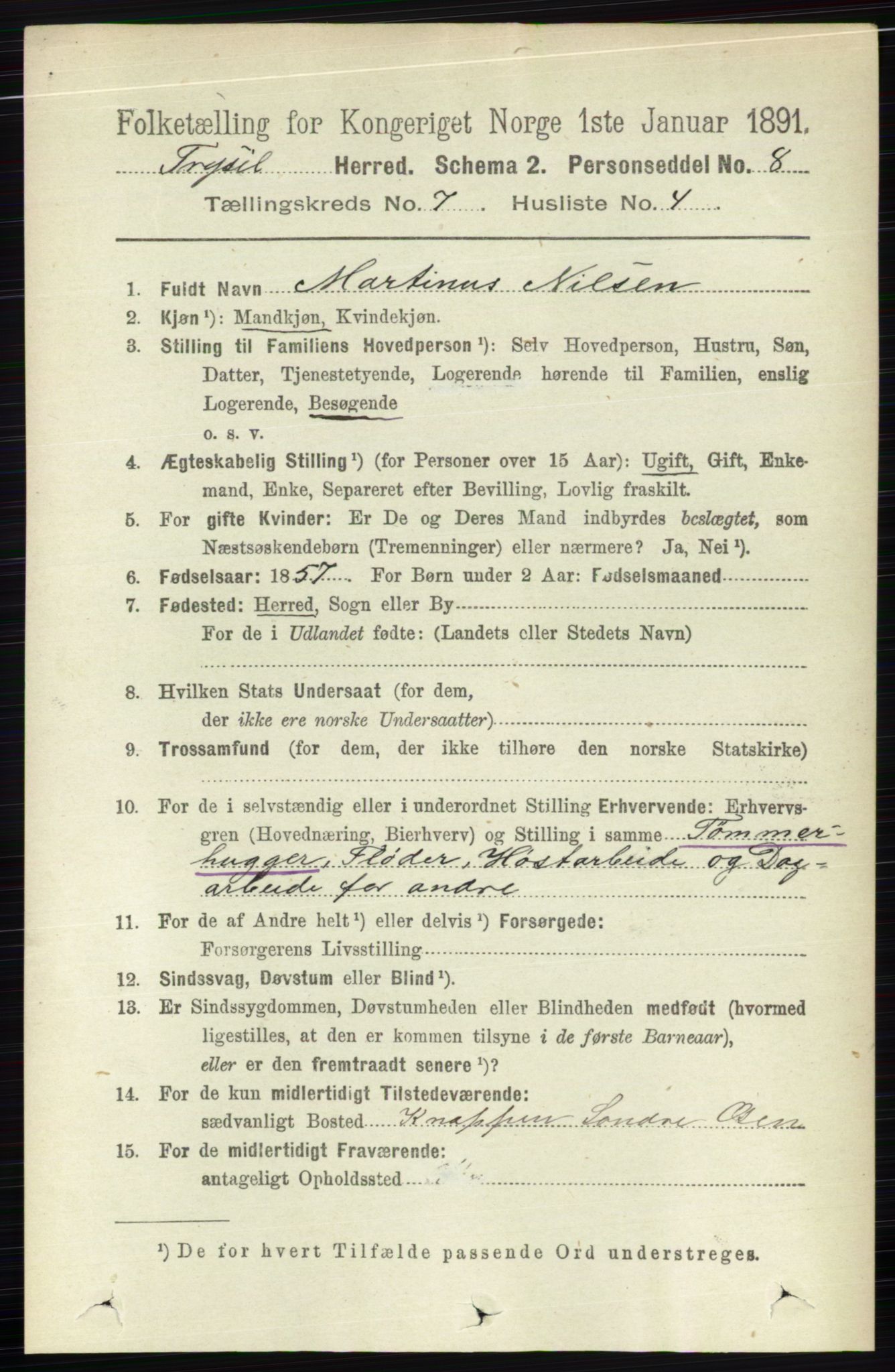 RA, 1891 census for 0428 Trysil, 1891, p. 3163