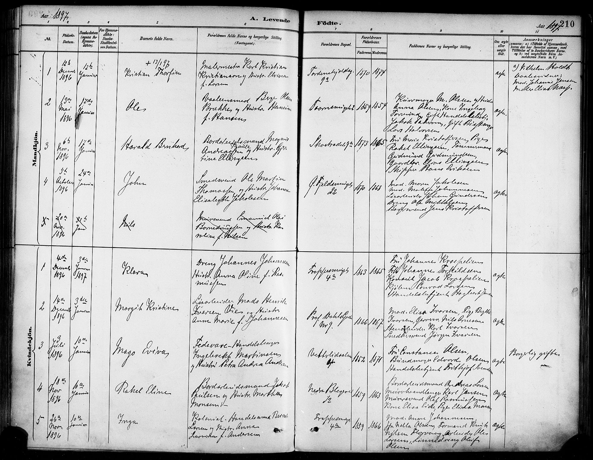 Korskirken sokneprestembete, SAB/A-76101/H/Haa/L0022: Parish register (official) no. B 8, 1889-1899, p. 210