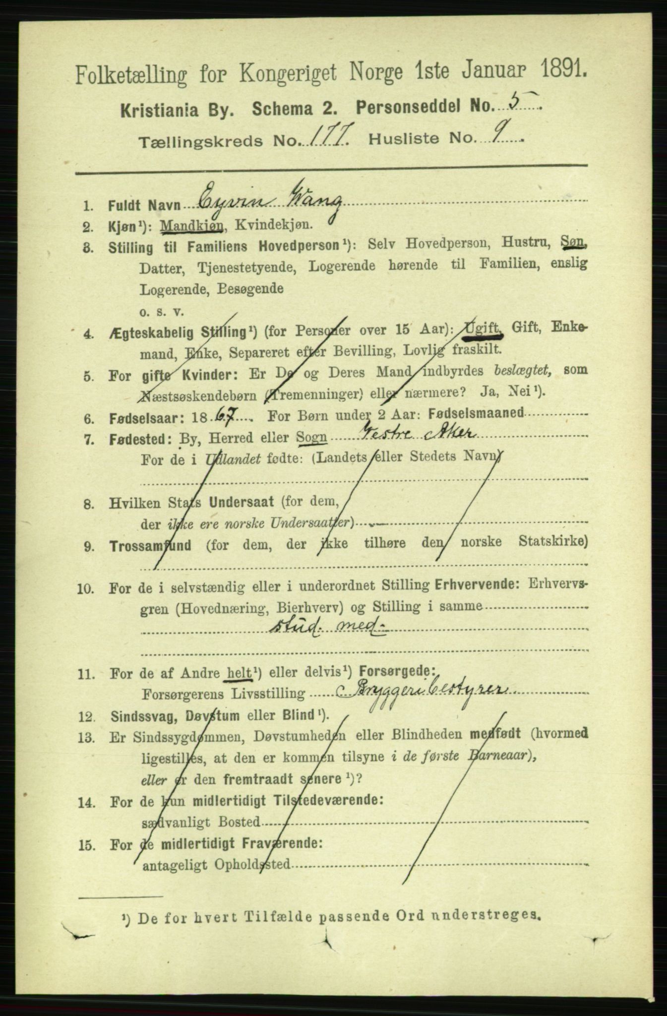 RA, 1891 census for 0301 Kristiania, 1891, p. 106667