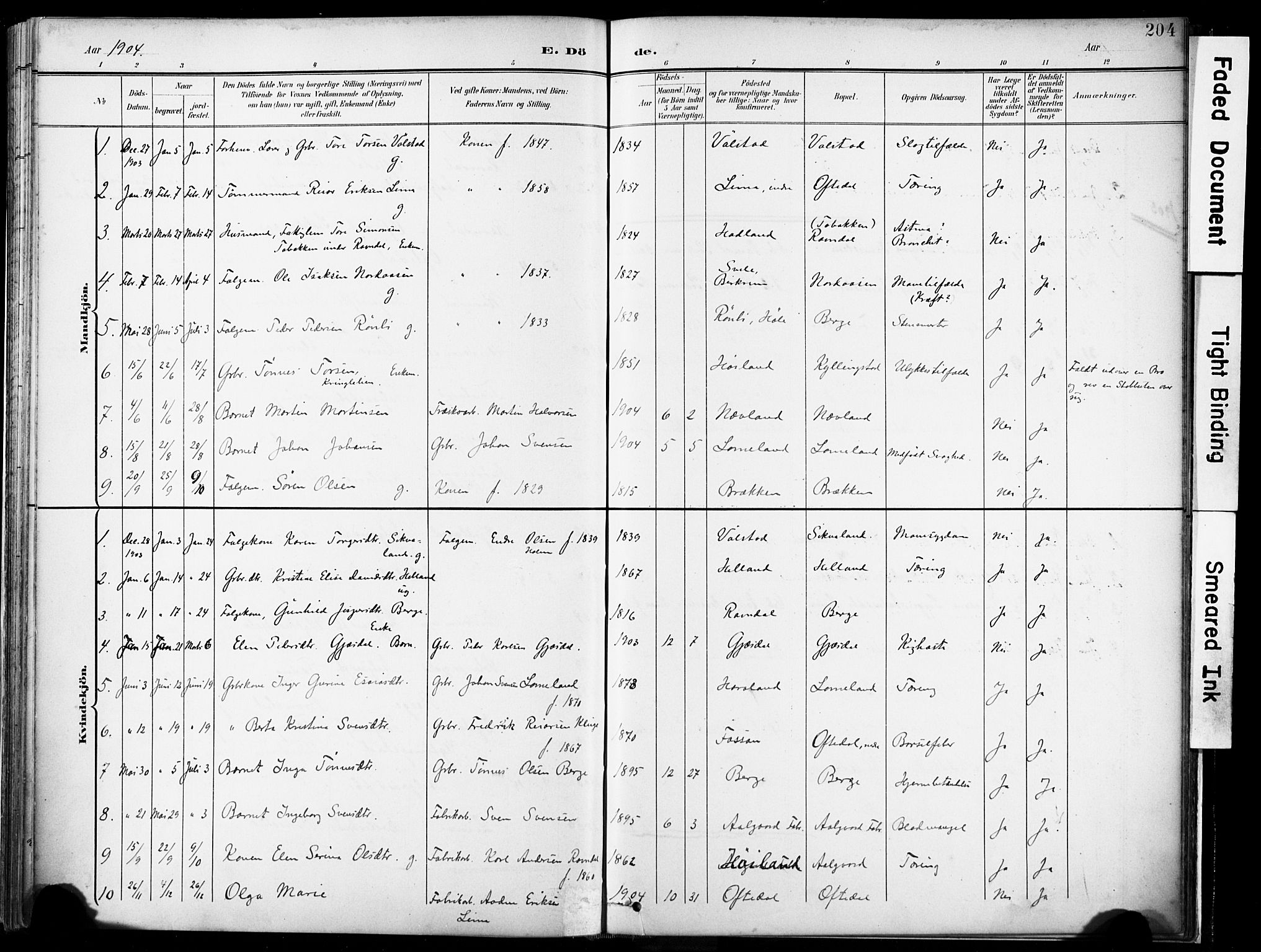 Lye sokneprestkontor, AV/SAST-A-101794/001/30BA/L0012: Parish register (official) no. A 11, 1896-1909, p. 204