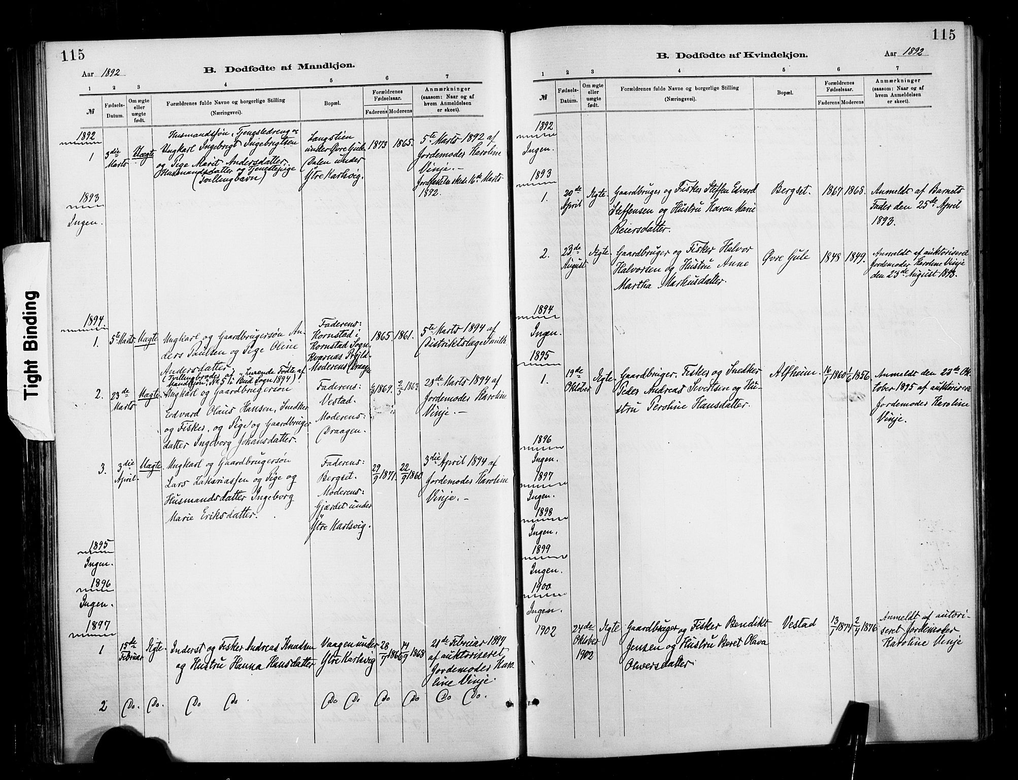 Ministerialprotokoller, klokkerbøker og fødselsregistre - Møre og Romsdal, SAT/A-1454/566/L0769: Parish register (official) no. 566A08, 1881-1903, p. 115