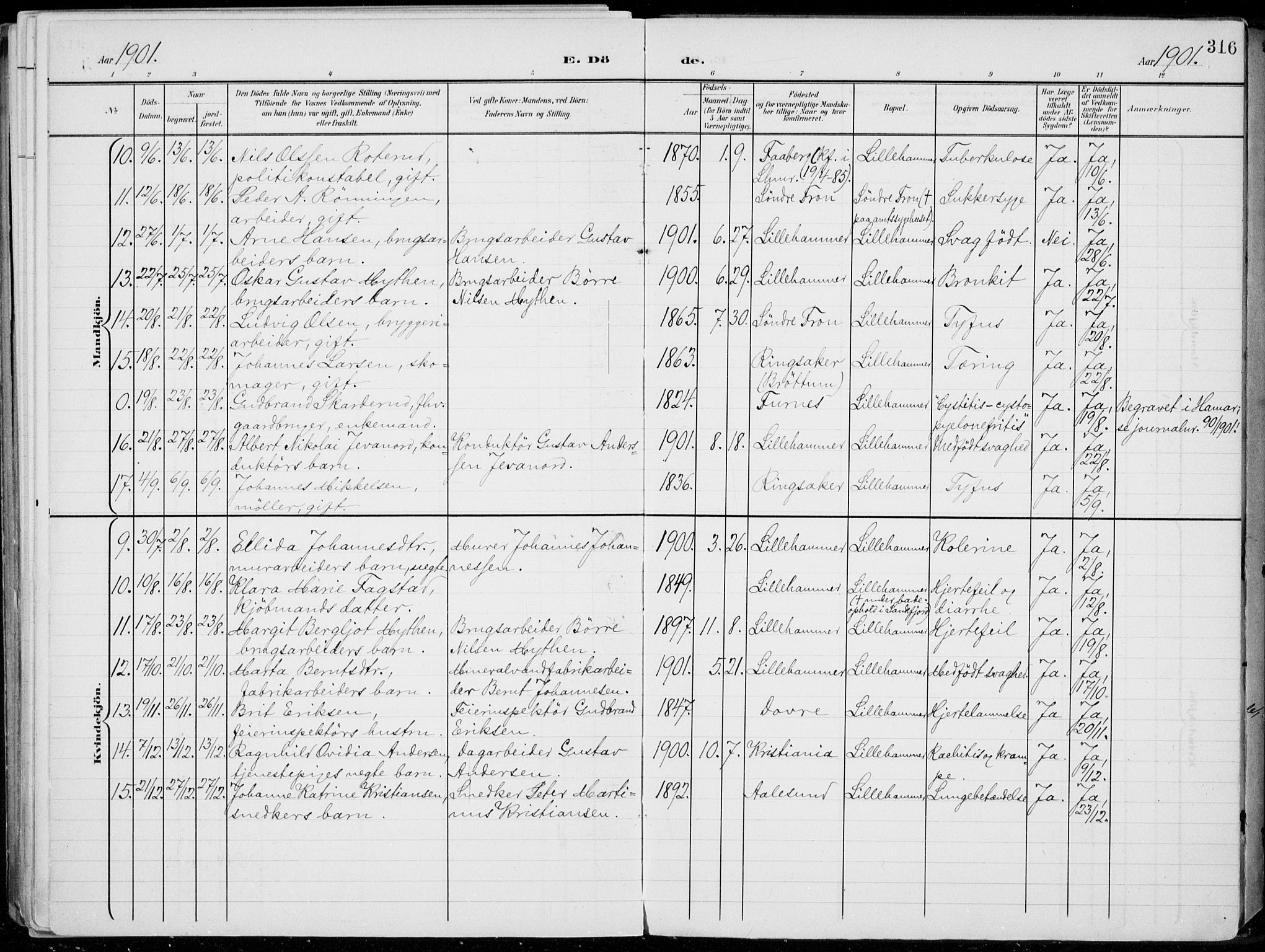 Lillehammer prestekontor, SAH/PREST-088/H/Ha/Haa/L0001: Parish register (official) no. 1, 1901-1916, p. 316