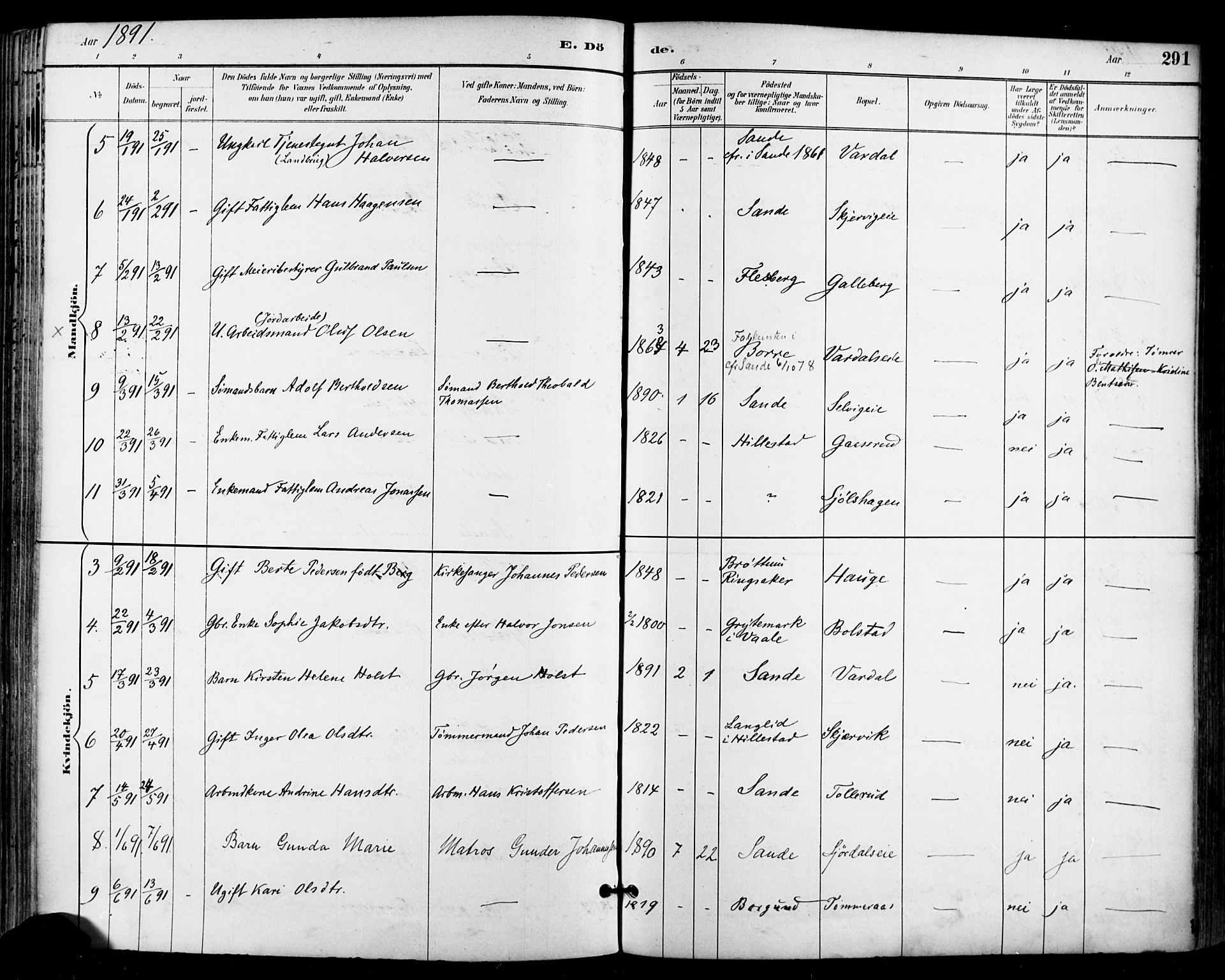 Sande Kirkebøker, SAKO/A-53/F/Fa/L0007: Parish register (official) no. 7, 1888-1903, p. 291