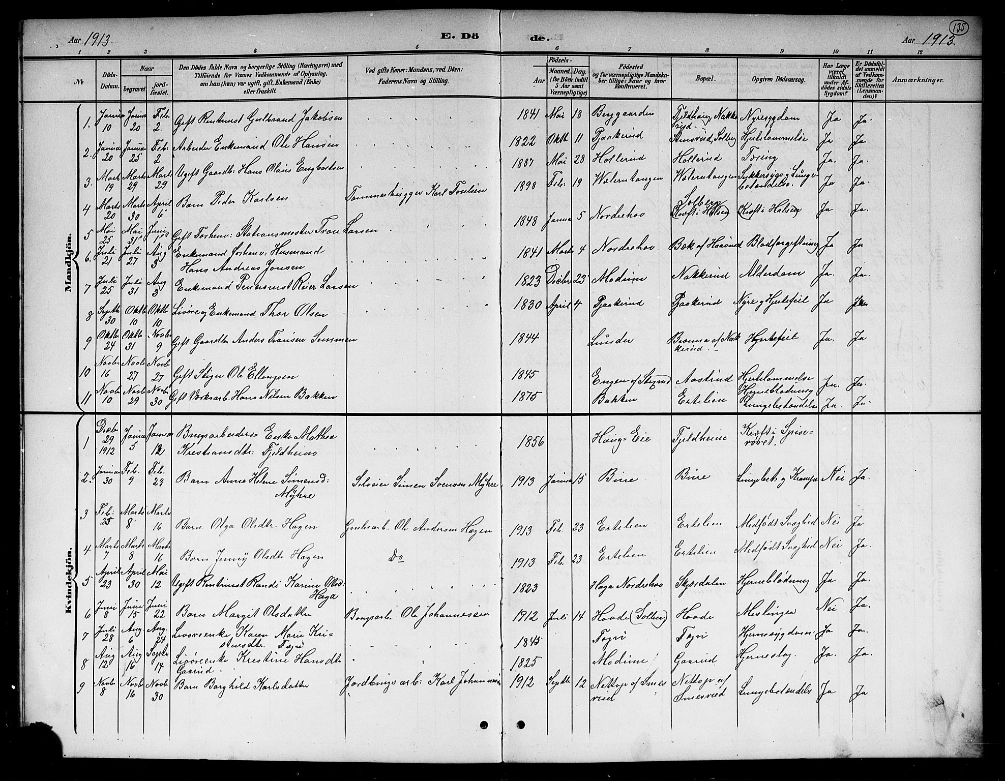 Hole kirkebøker, SAKO/A-228/G/Gb/L0004: Parish register (copy) no. II 4, 1901-1916, p. 135